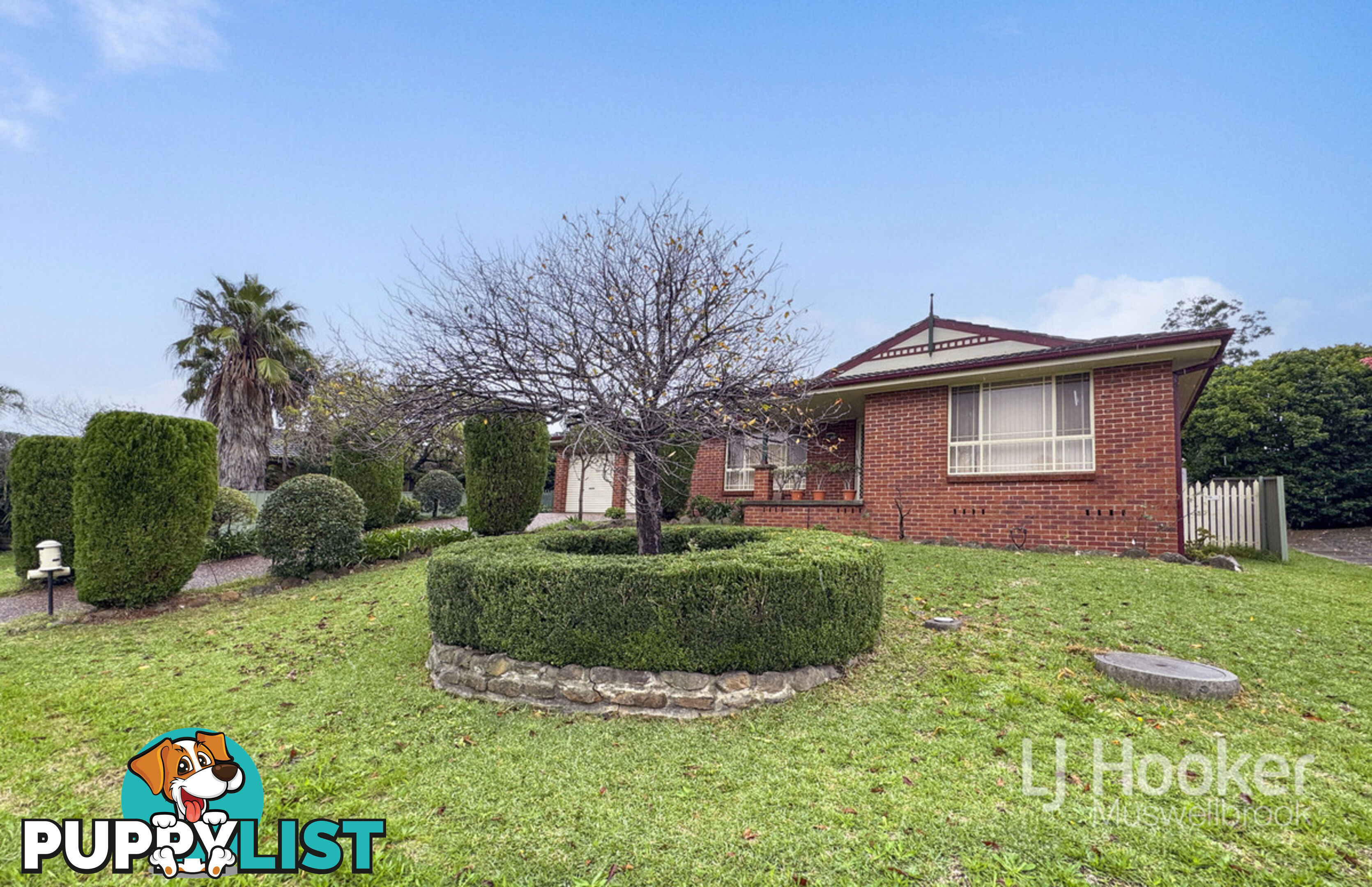 6 Lexia Street MUSWELLBROOK NSW 2333