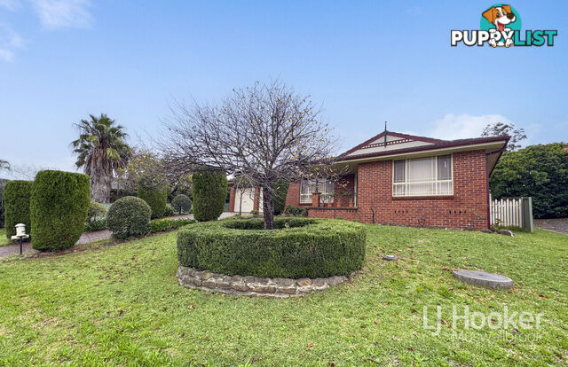 6 Lexia Street MUSWELLBROOK NSW 2333