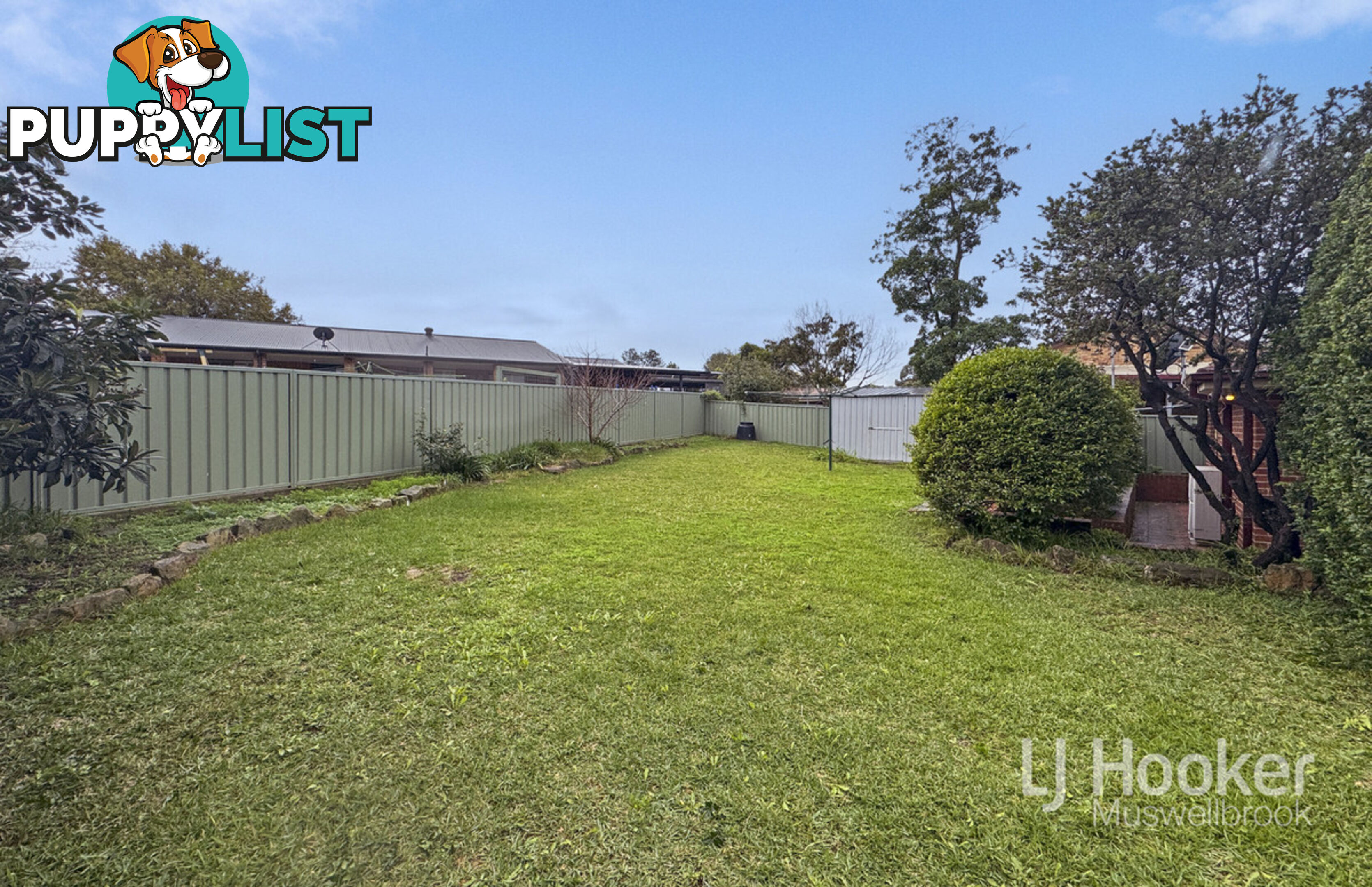 6 Lexia Street MUSWELLBROOK NSW 2333