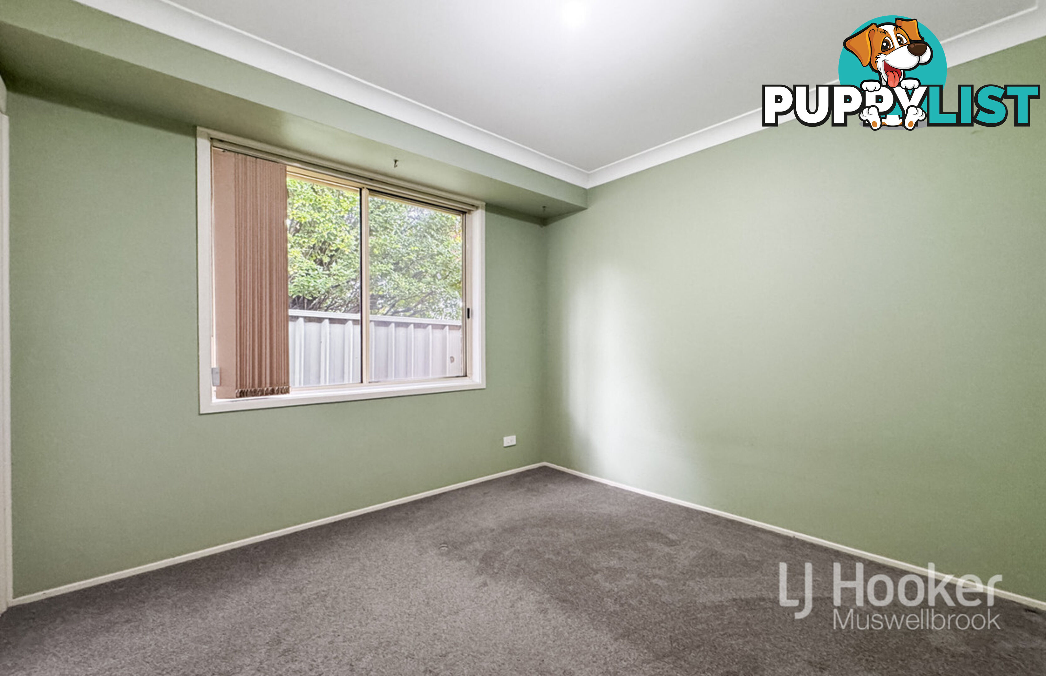 6 Lexia Street MUSWELLBROOK NSW 2333