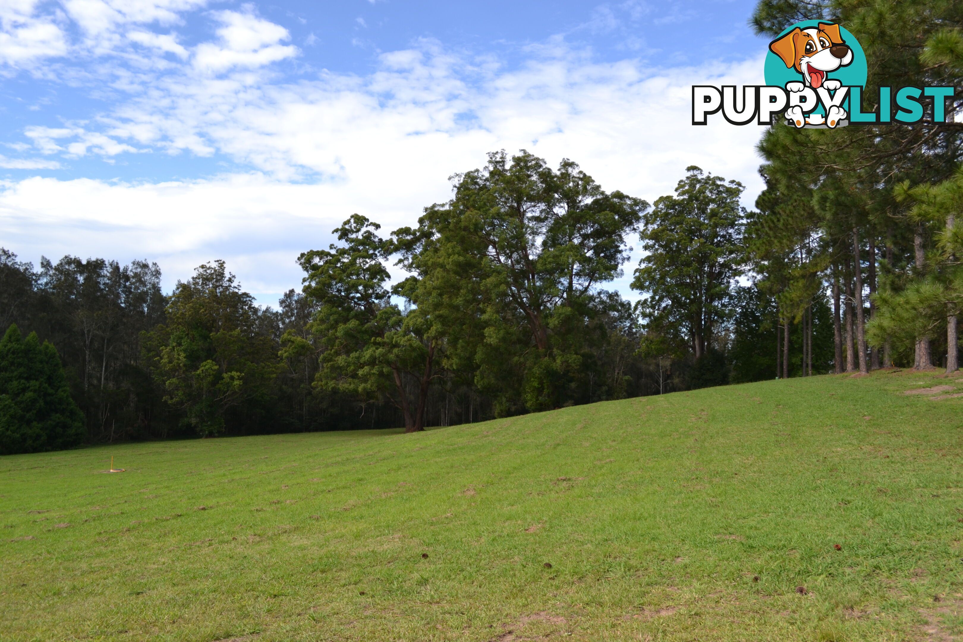 Lot 6 Rosemary Gardens MACKSVILLE NSW 2447