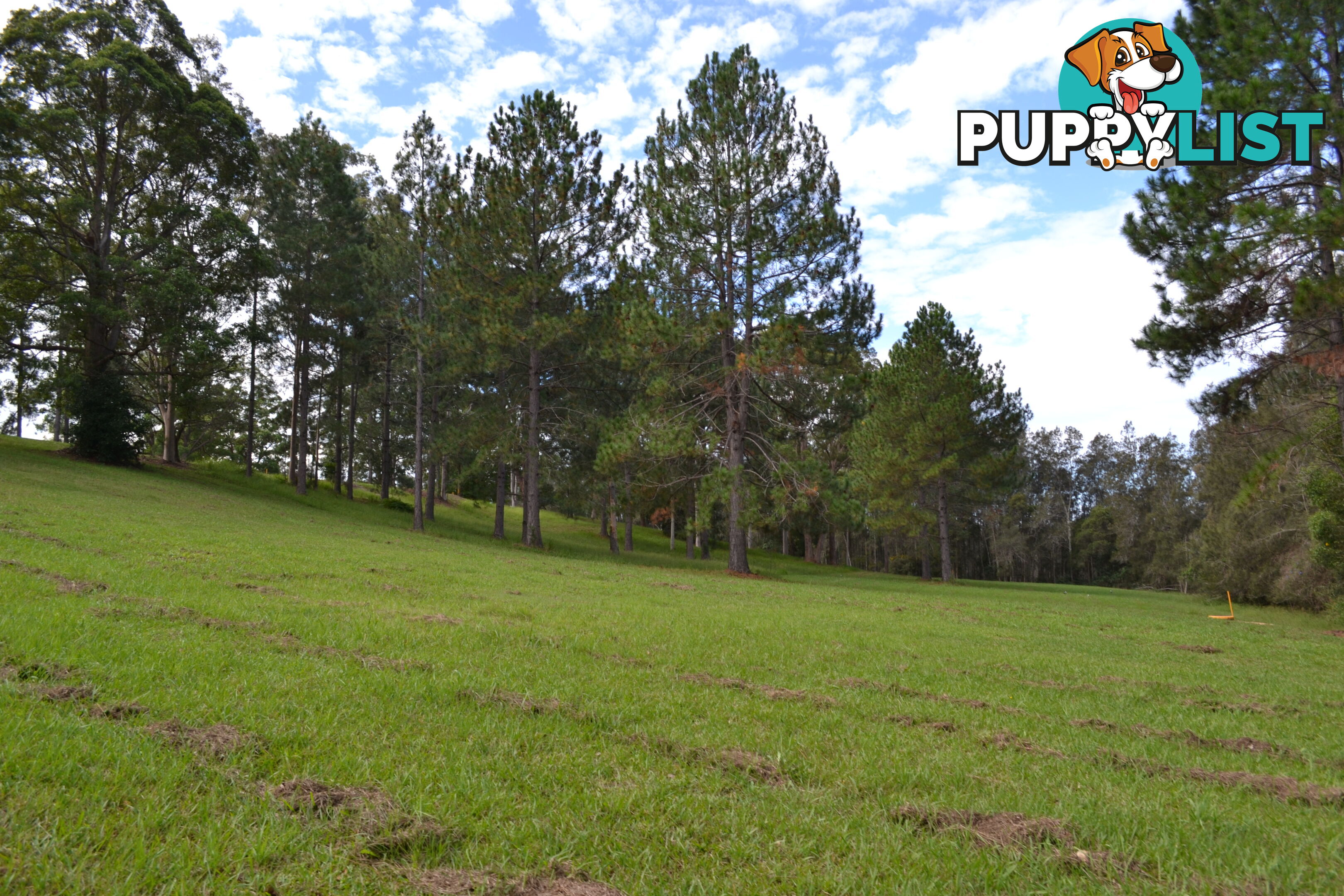 Lot 6 Rosemary Gardens MACKSVILLE NSW 2447