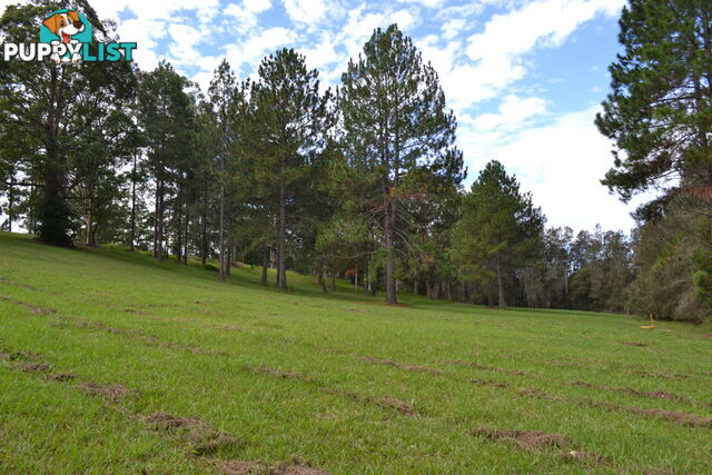 Lot 6 Rosemary Gardens MACKSVILLE NSW 2447