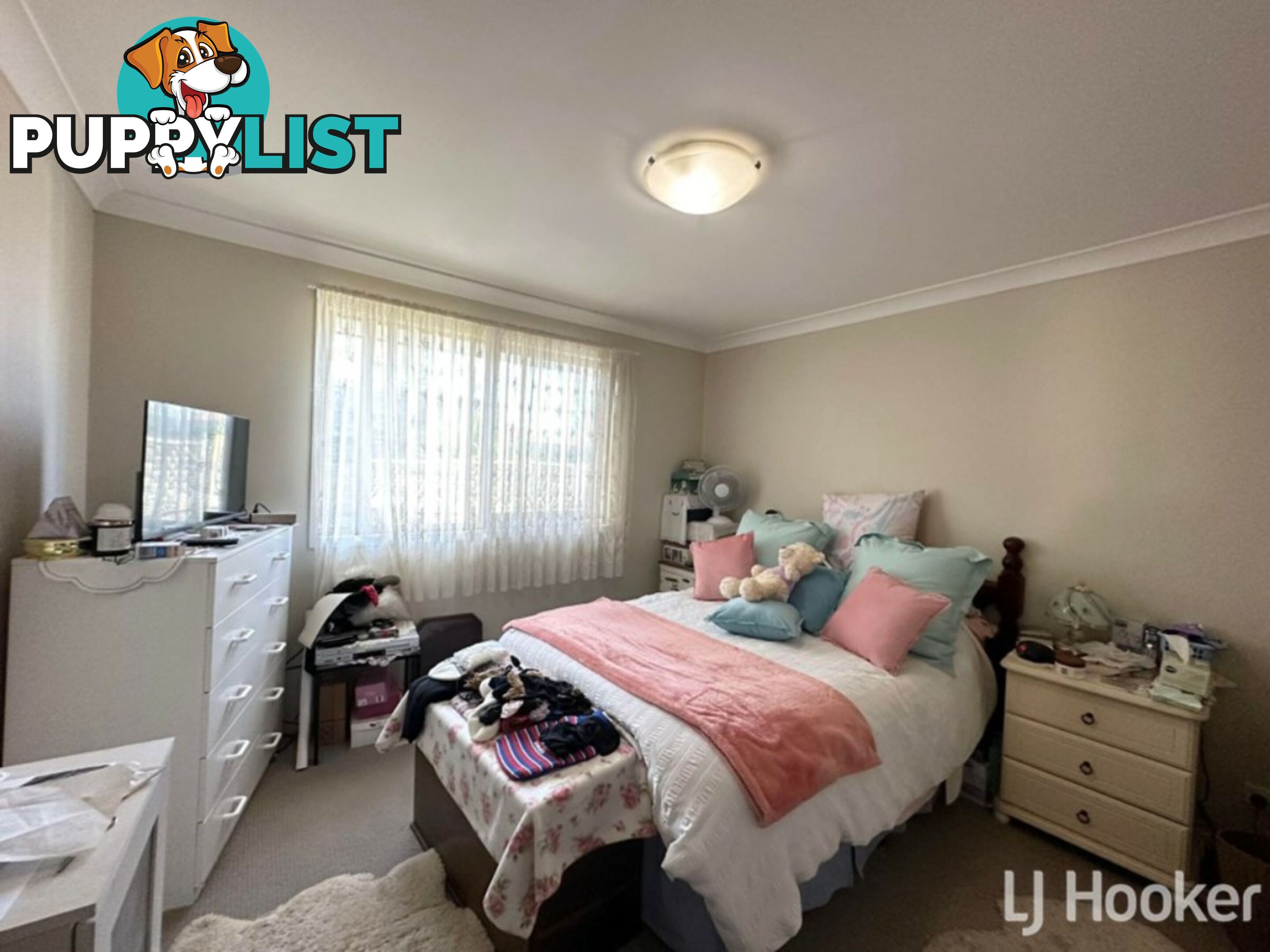 Unit 20/27-33 Eveleigh Court SCONE NSW 2337