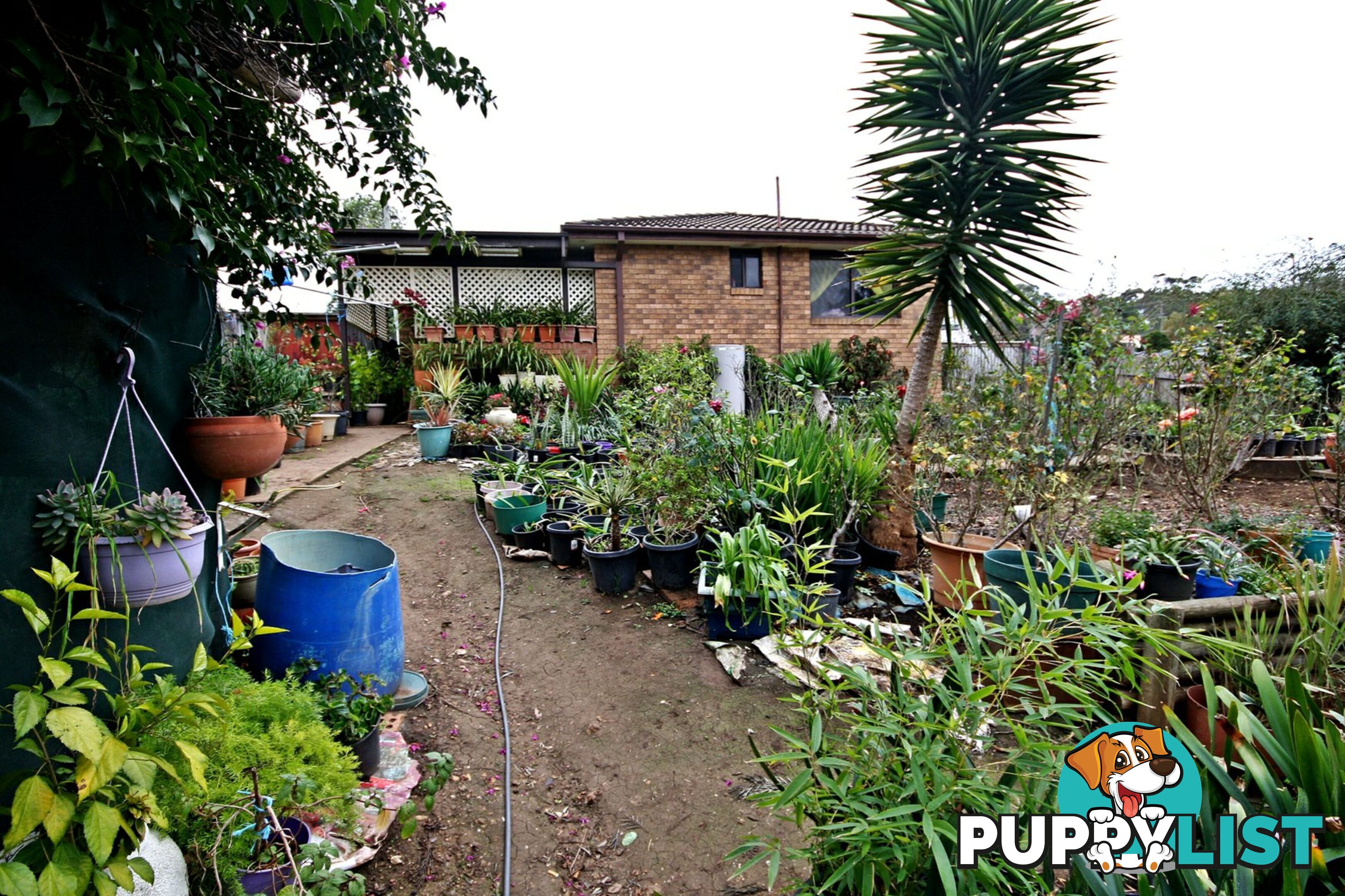 5 Waratah Lane ABERDEEN NSW 2336