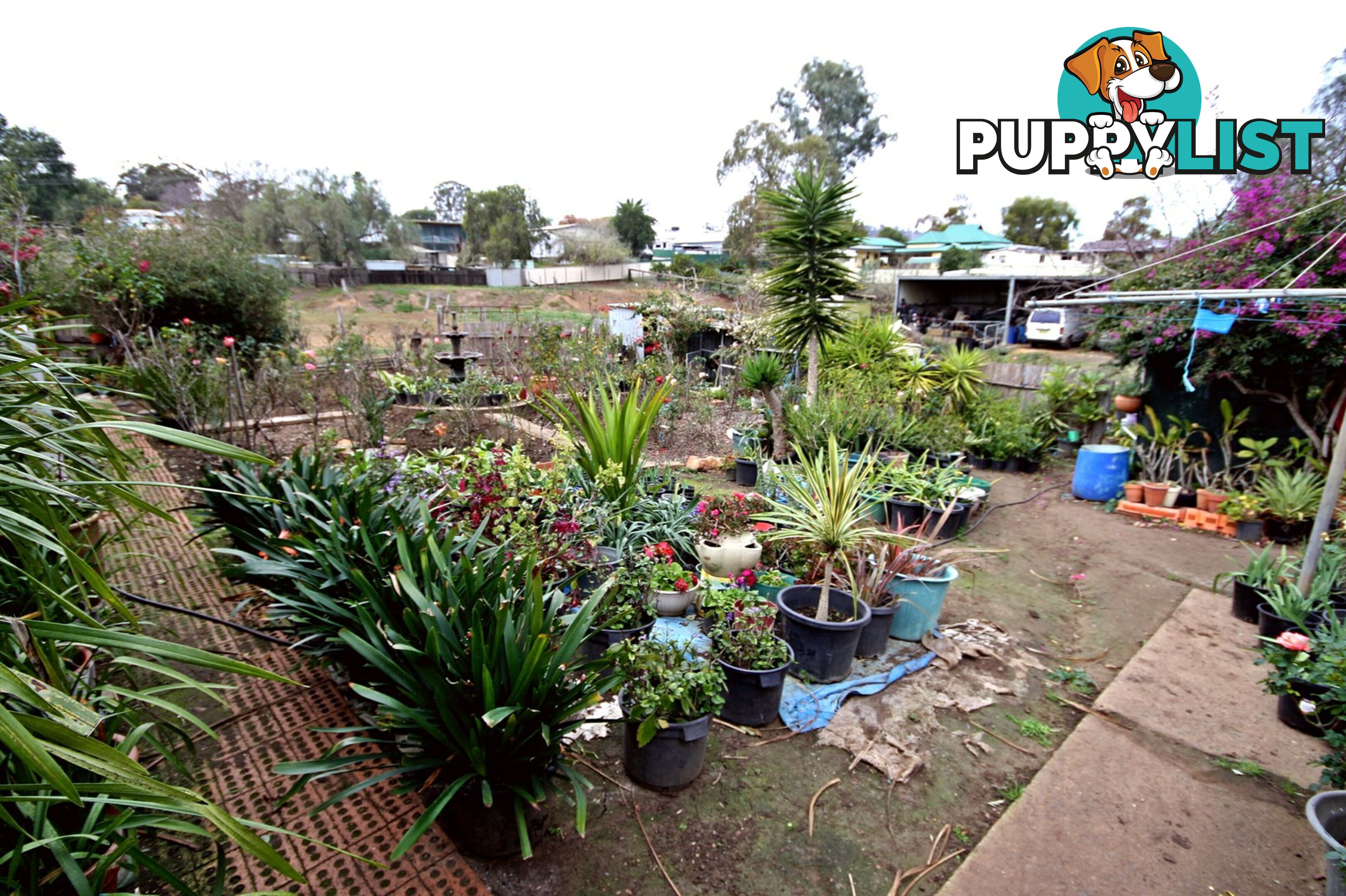 5 Waratah Lane ABERDEEN NSW 2336