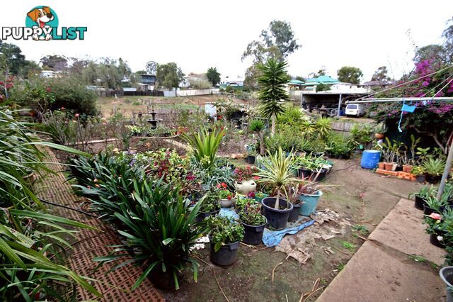 5 Waratah Lane ABERDEEN NSW 2336