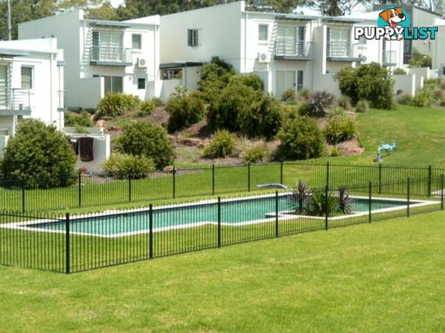 2/15 Lofberg Court MUSWELLBROOK NSW 2333