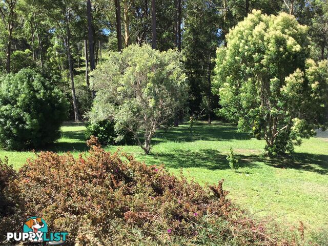 216 Florence Wilmont Dr NAMBUCCA HEADS NSW 2448