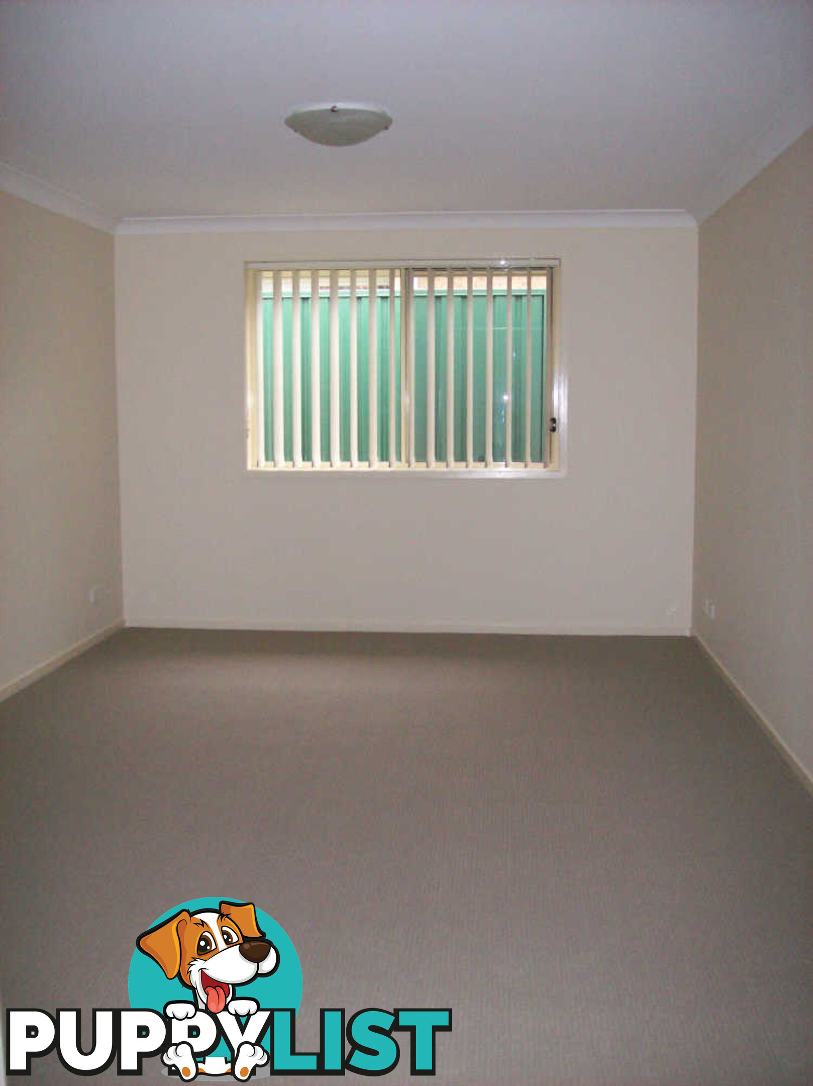 14 Mcgregor Street MUSWELLBROOK NSW 2333