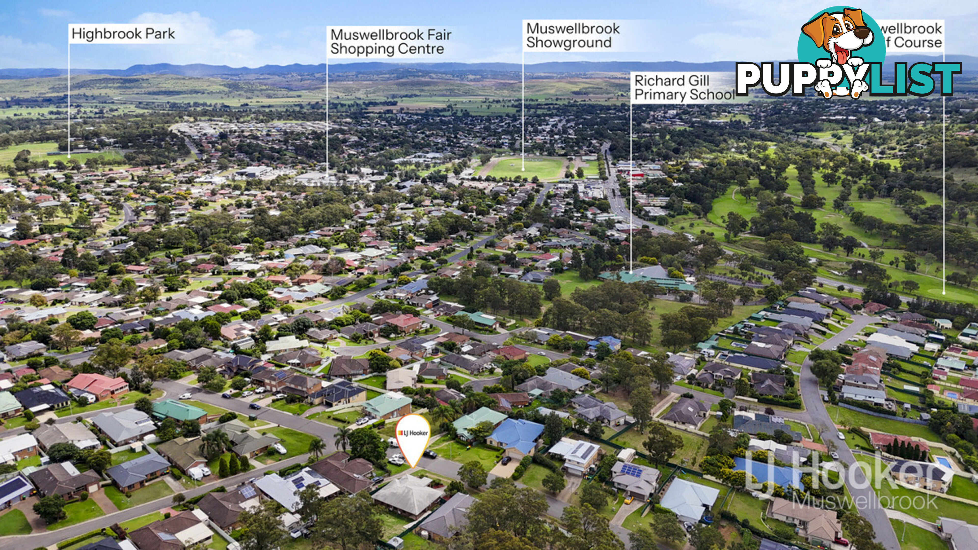11 Bloodwood Road MUSWELLBROOK NSW 2333