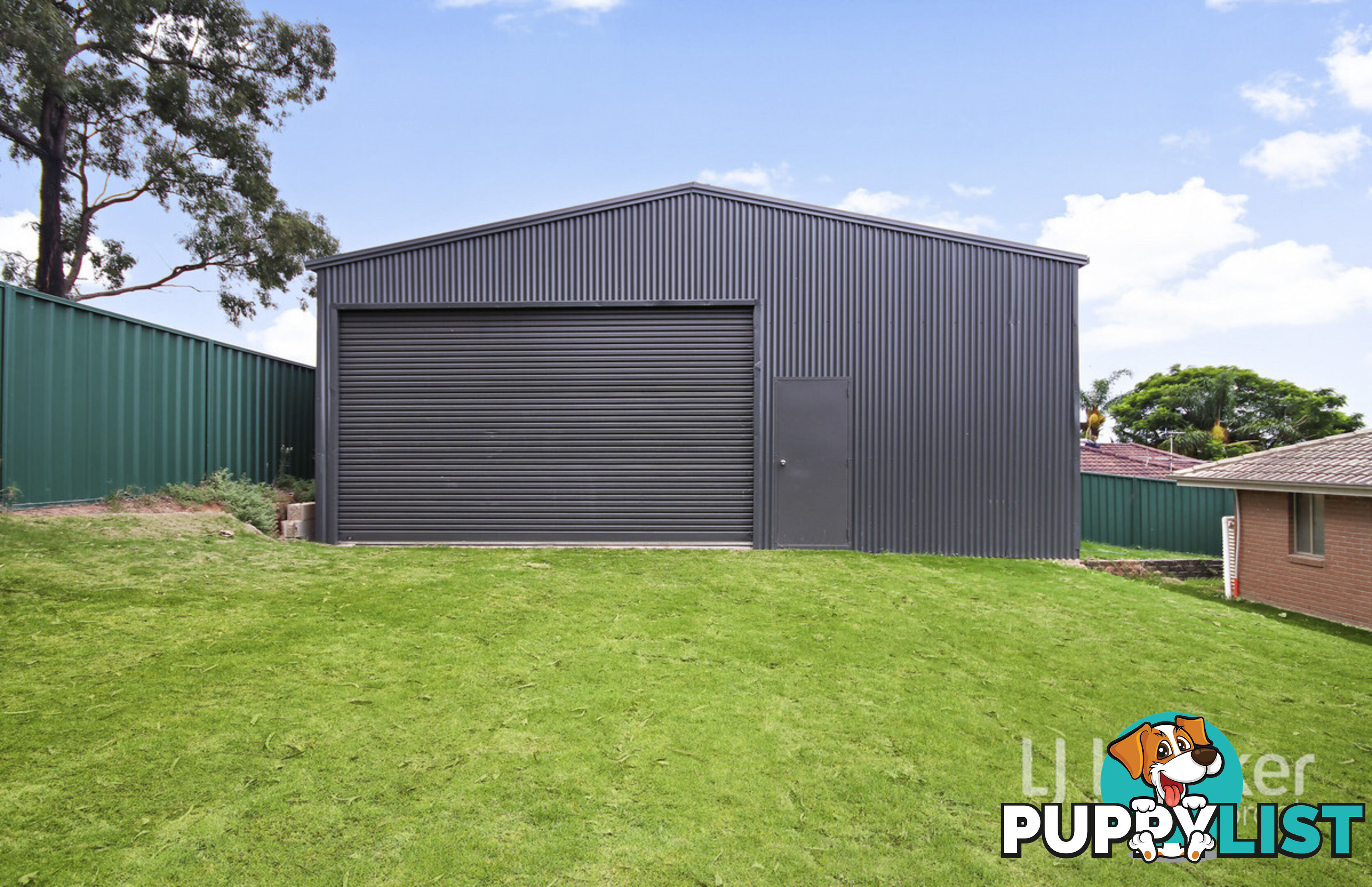11 Bloodwood Road MUSWELLBROOK NSW 2333