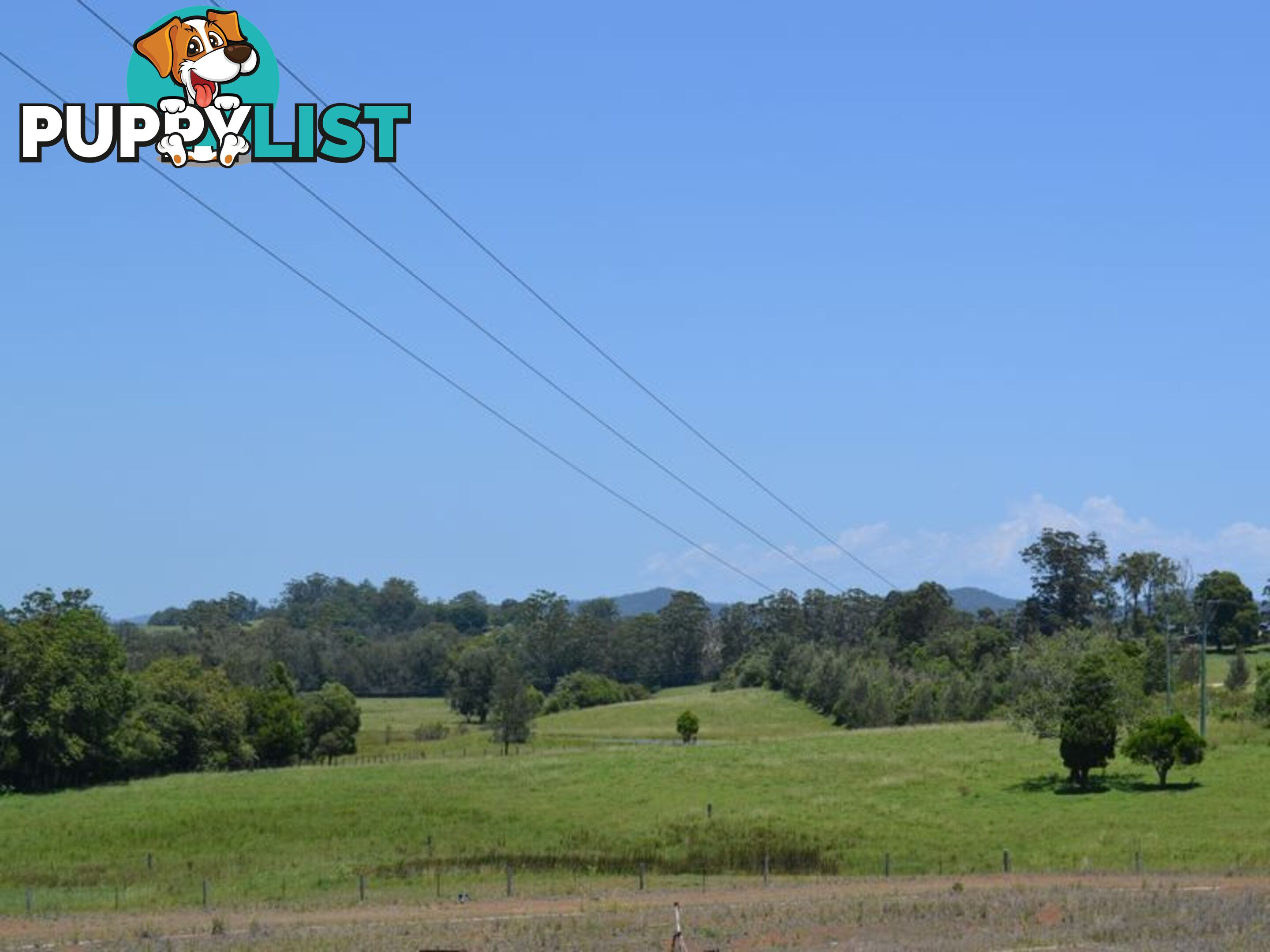 MACKSVILLE NSW 2447