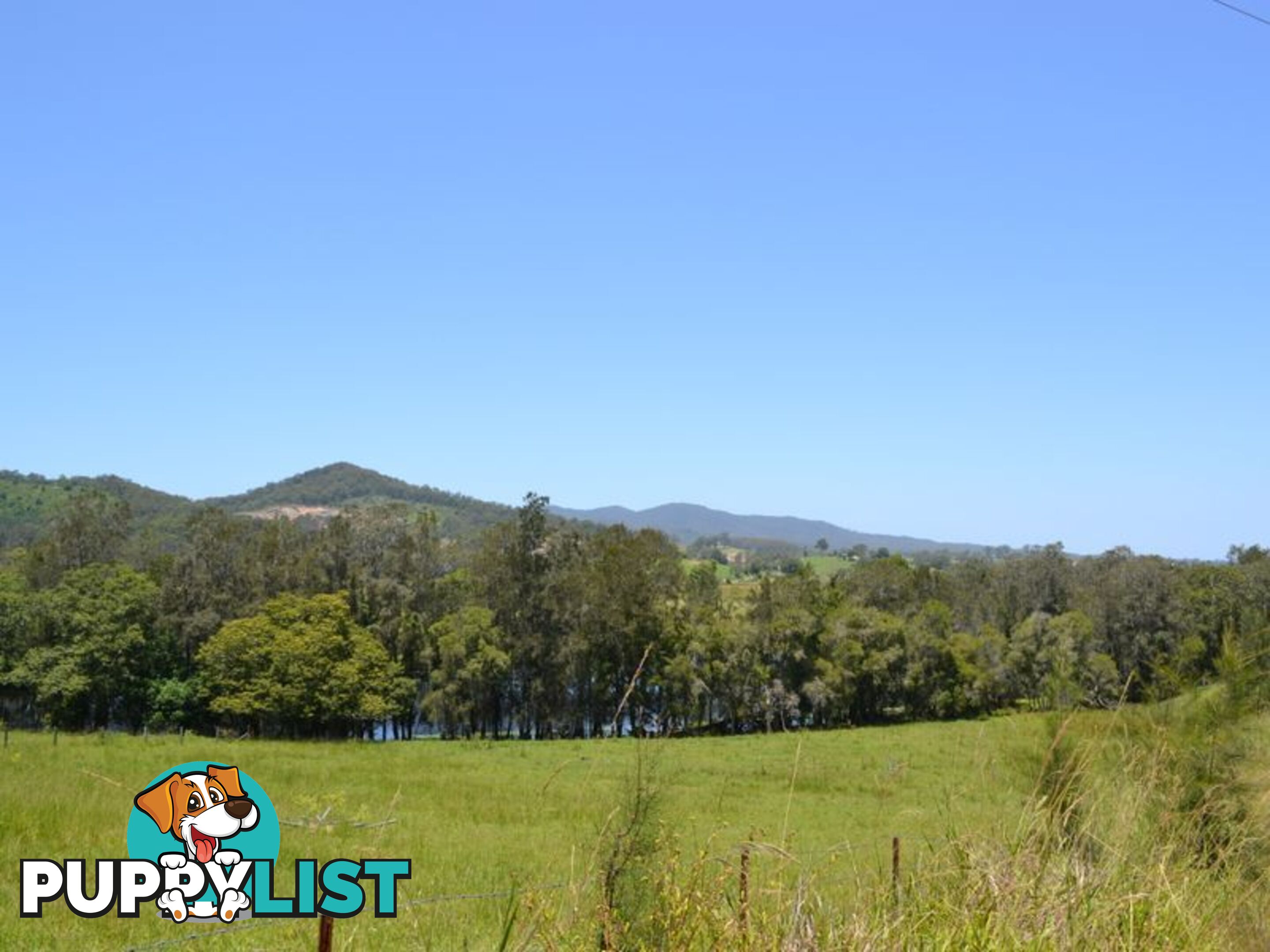 MACKSVILLE NSW 2447