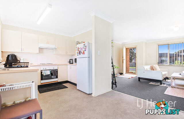 27 Wollombi Road MUSWELLBROOK NSW 2333