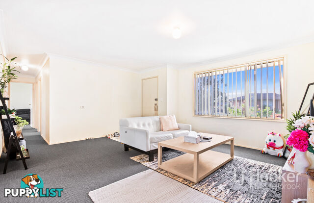 27 Wollombi Road MUSWELLBROOK NSW 2333
