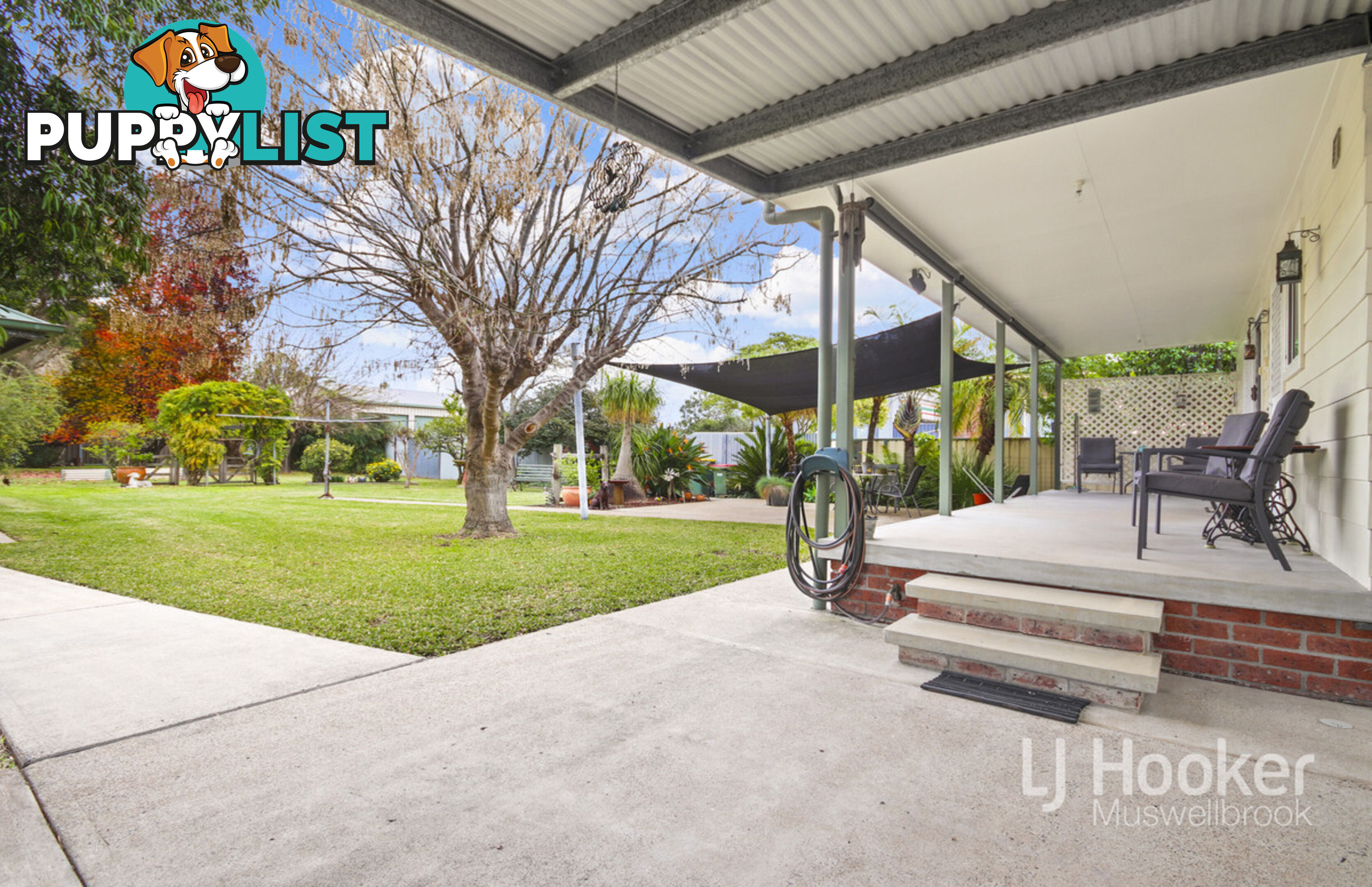37 Maitland Street MUSWELLBROOK NSW 2333