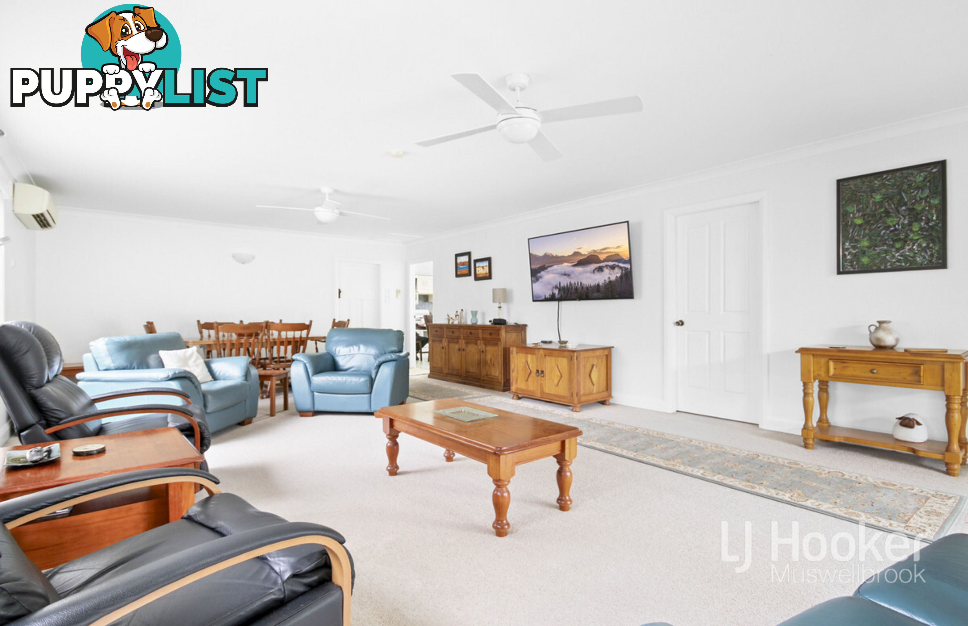 37 Maitland Street MUSWELLBROOK NSW 2333