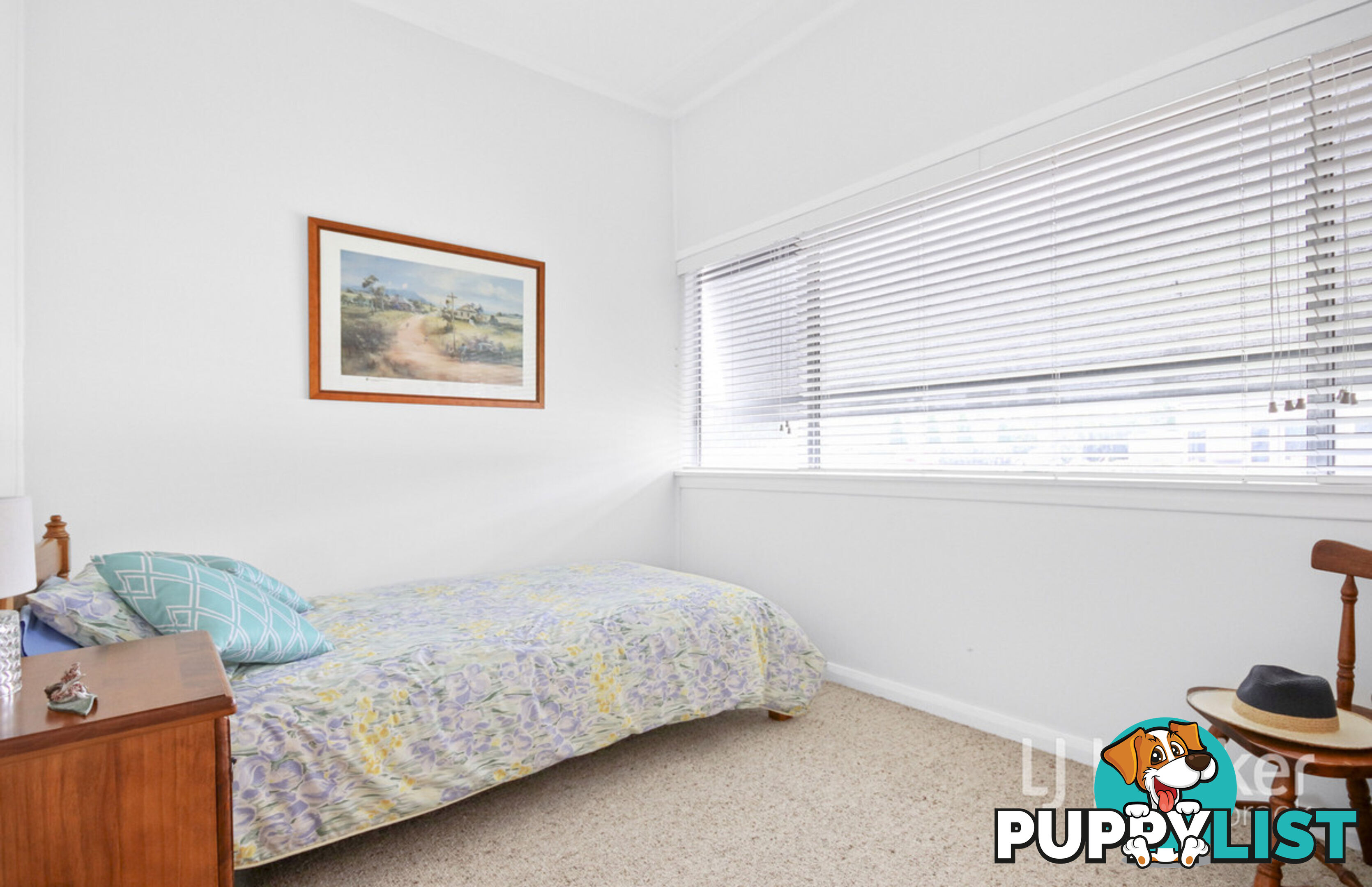 37 Maitland Street MUSWELLBROOK NSW 2333