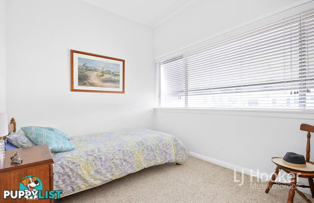 37 Maitland Street MUSWELLBROOK NSW 2333