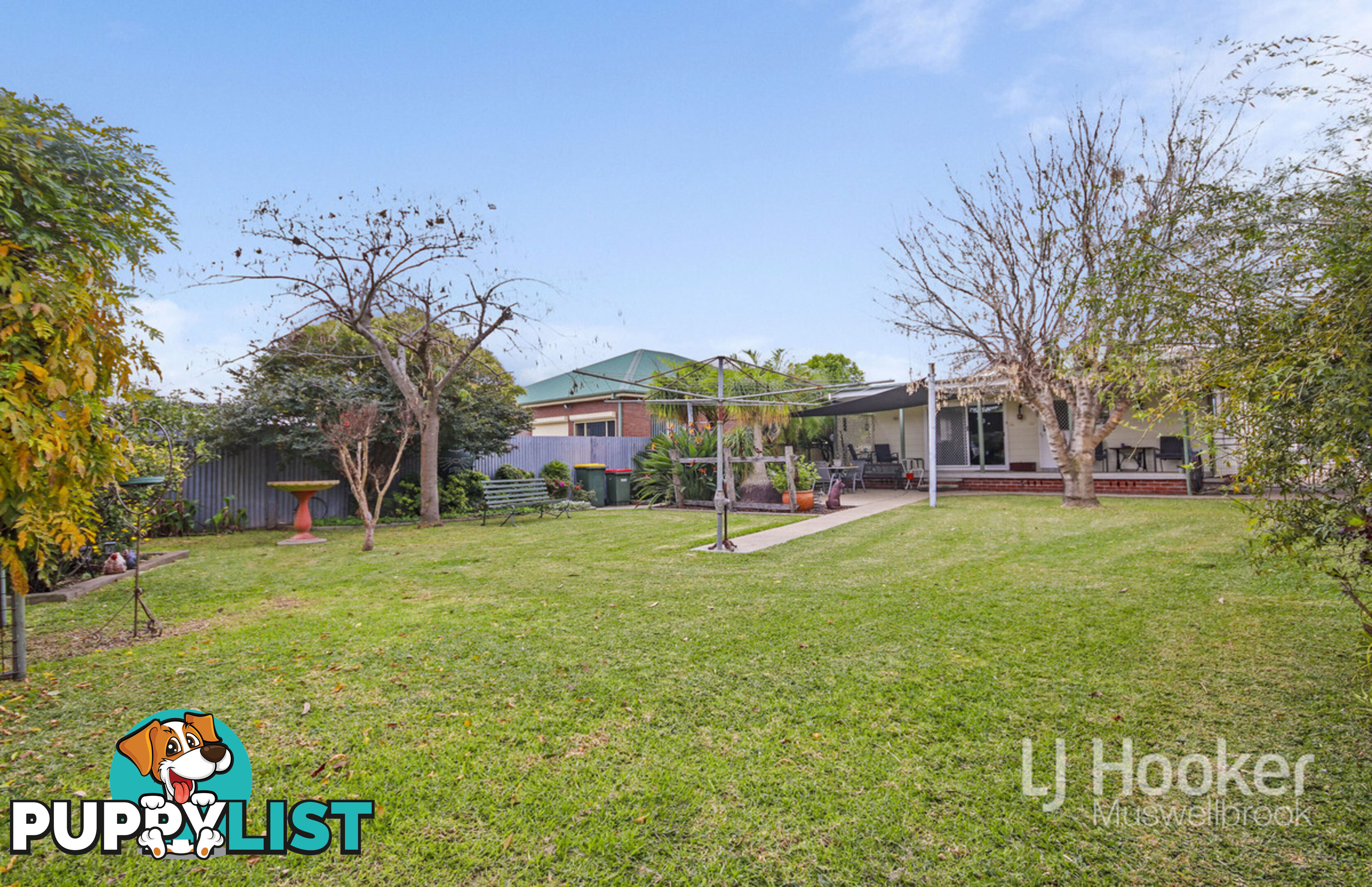 37 Maitland Street MUSWELLBROOK NSW 2333