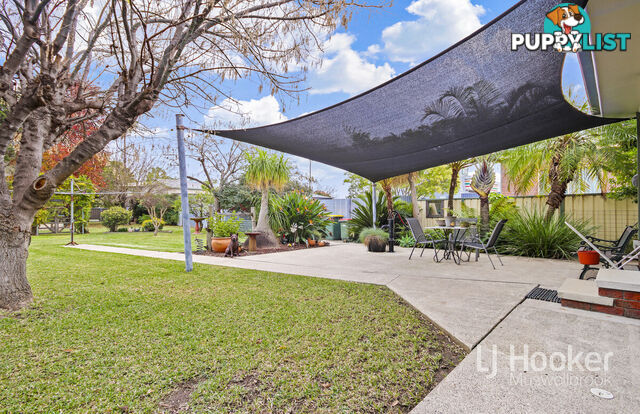 37 Maitland Street MUSWELLBROOK NSW 2333