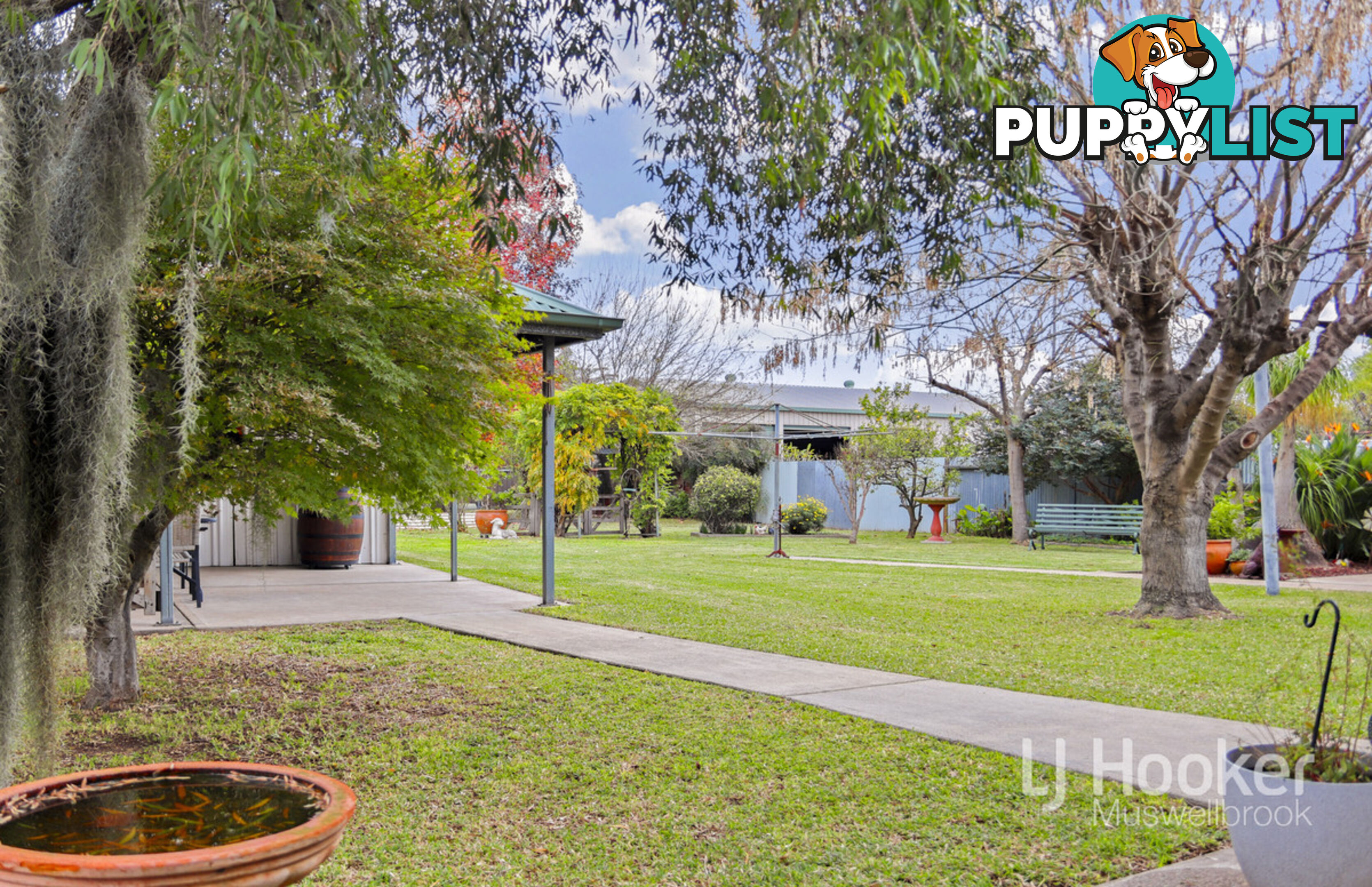 37 Maitland Street MUSWELLBROOK NSW 2333