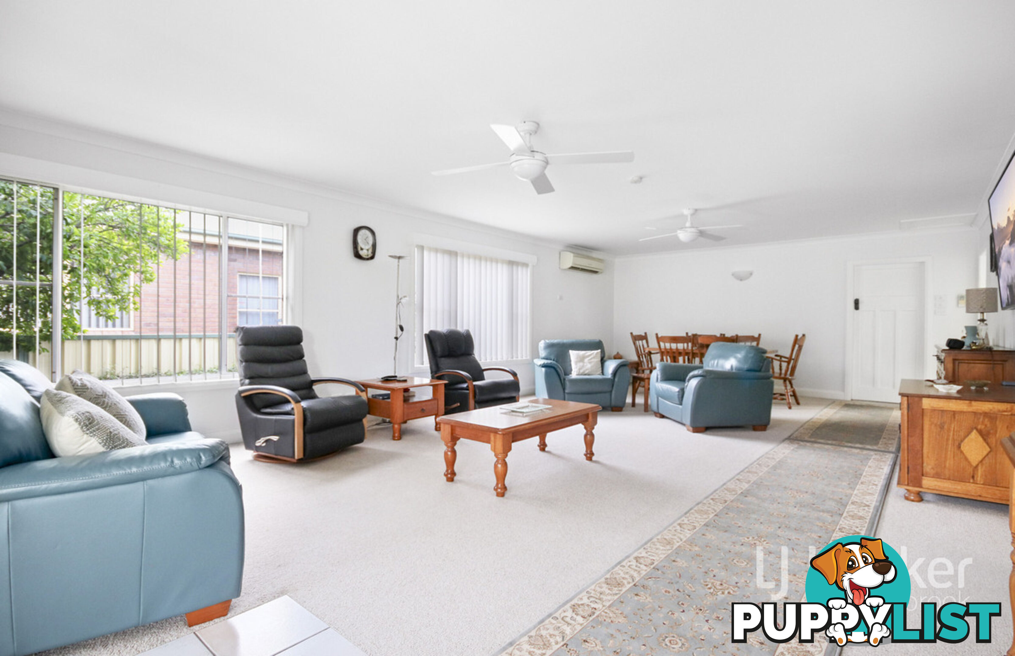 37 Maitland Street MUSWELLBROOK NSW 2333