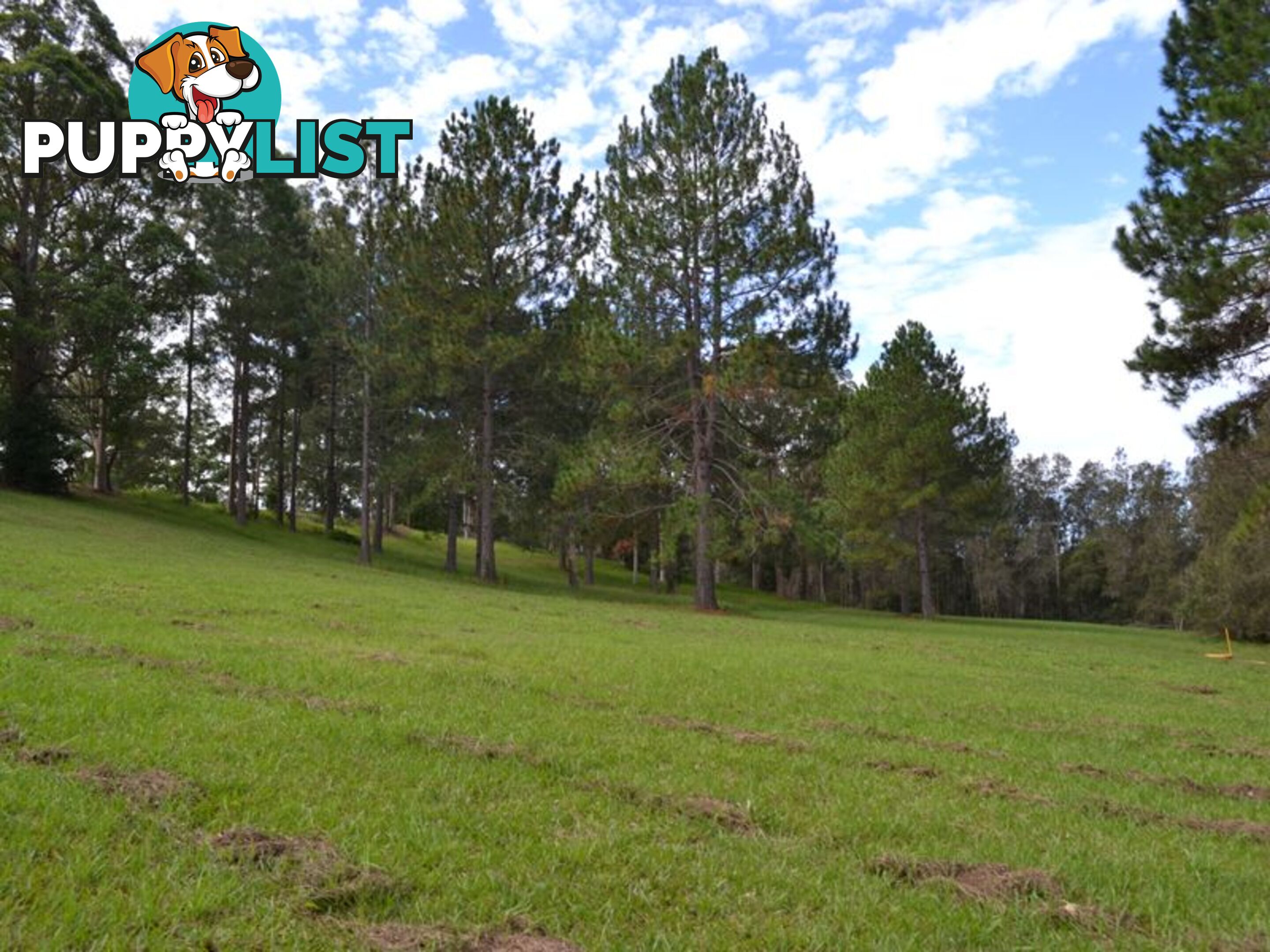 Lot 5 Rosemary Gardens MACKSVILLE NSW 2447