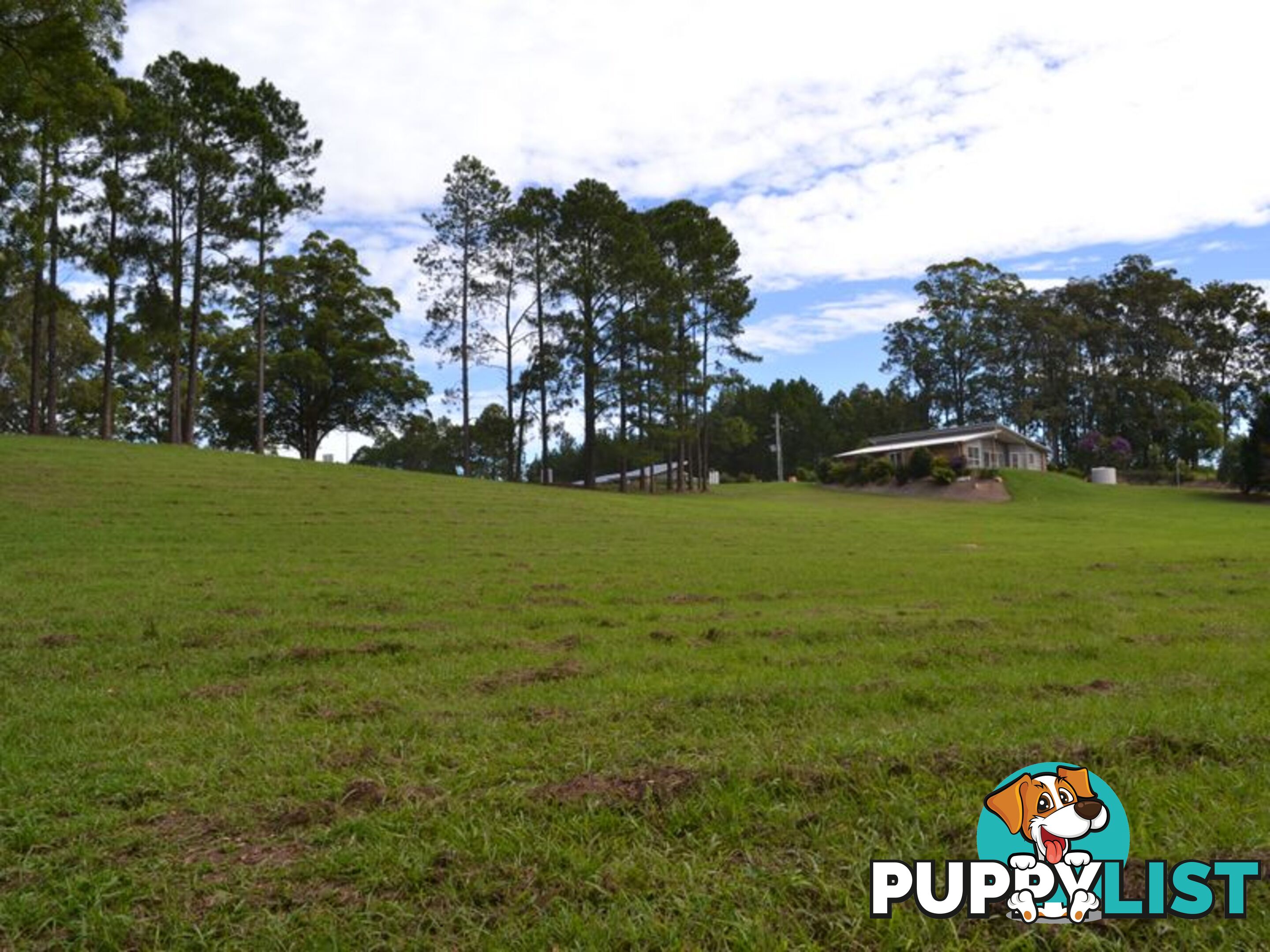 Lot 5 Rosemary Gardens MACKSVILLE NSW 2447