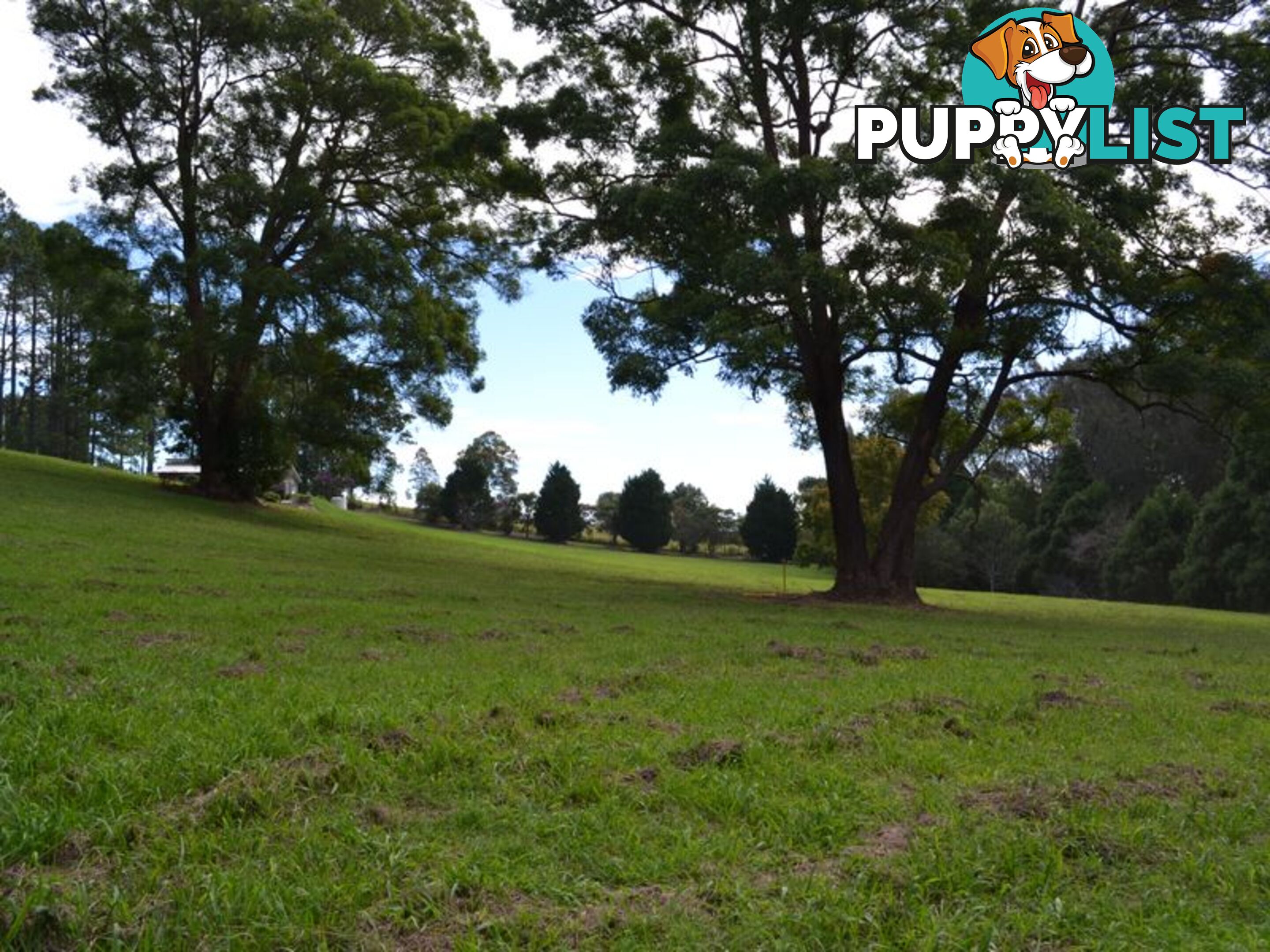 Lot 5 Rosemary Gardens MACKSVILLE NSW 2447