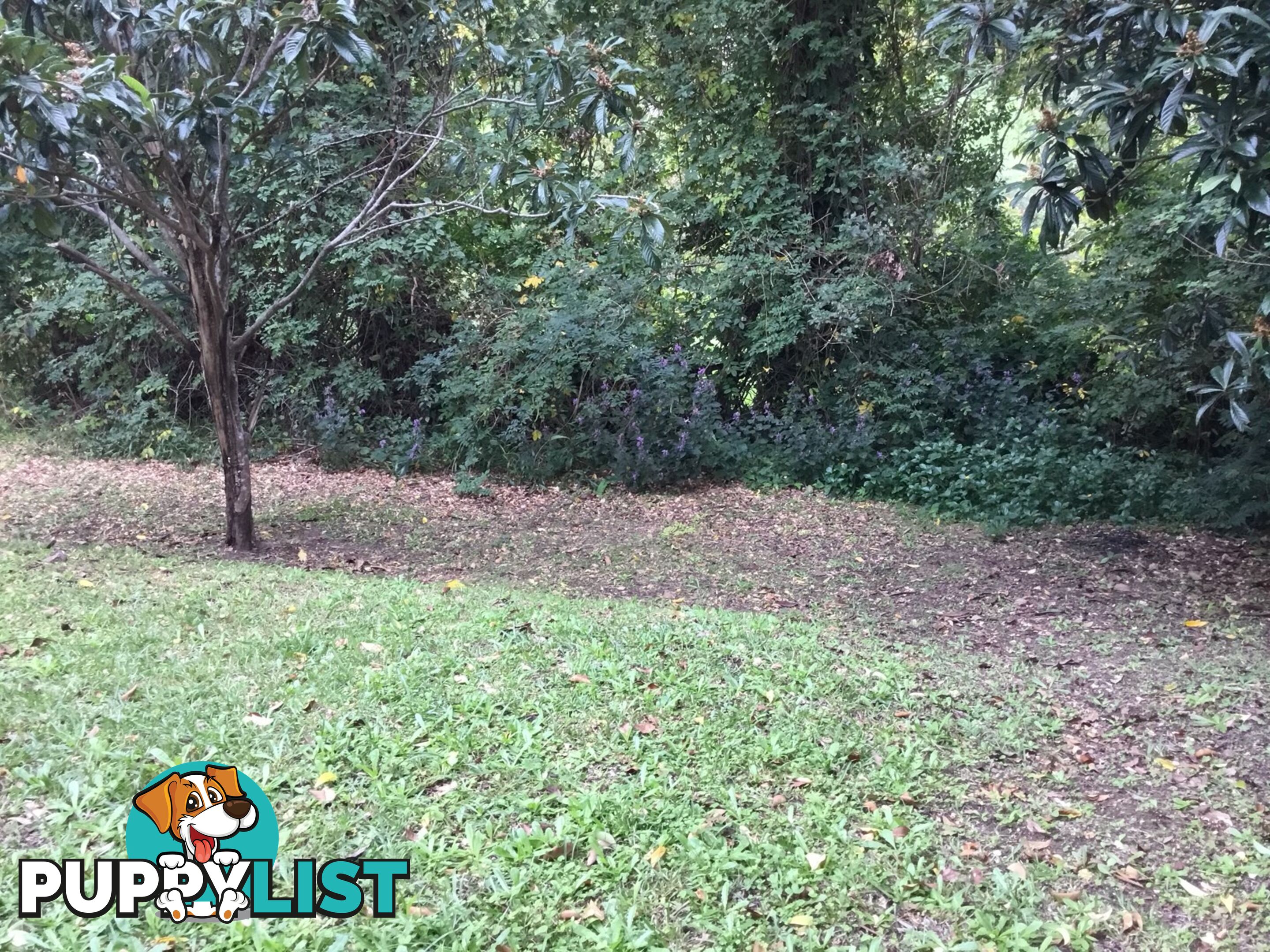 28 Mann Street NAMBUCCA HEADS NSW 2448
