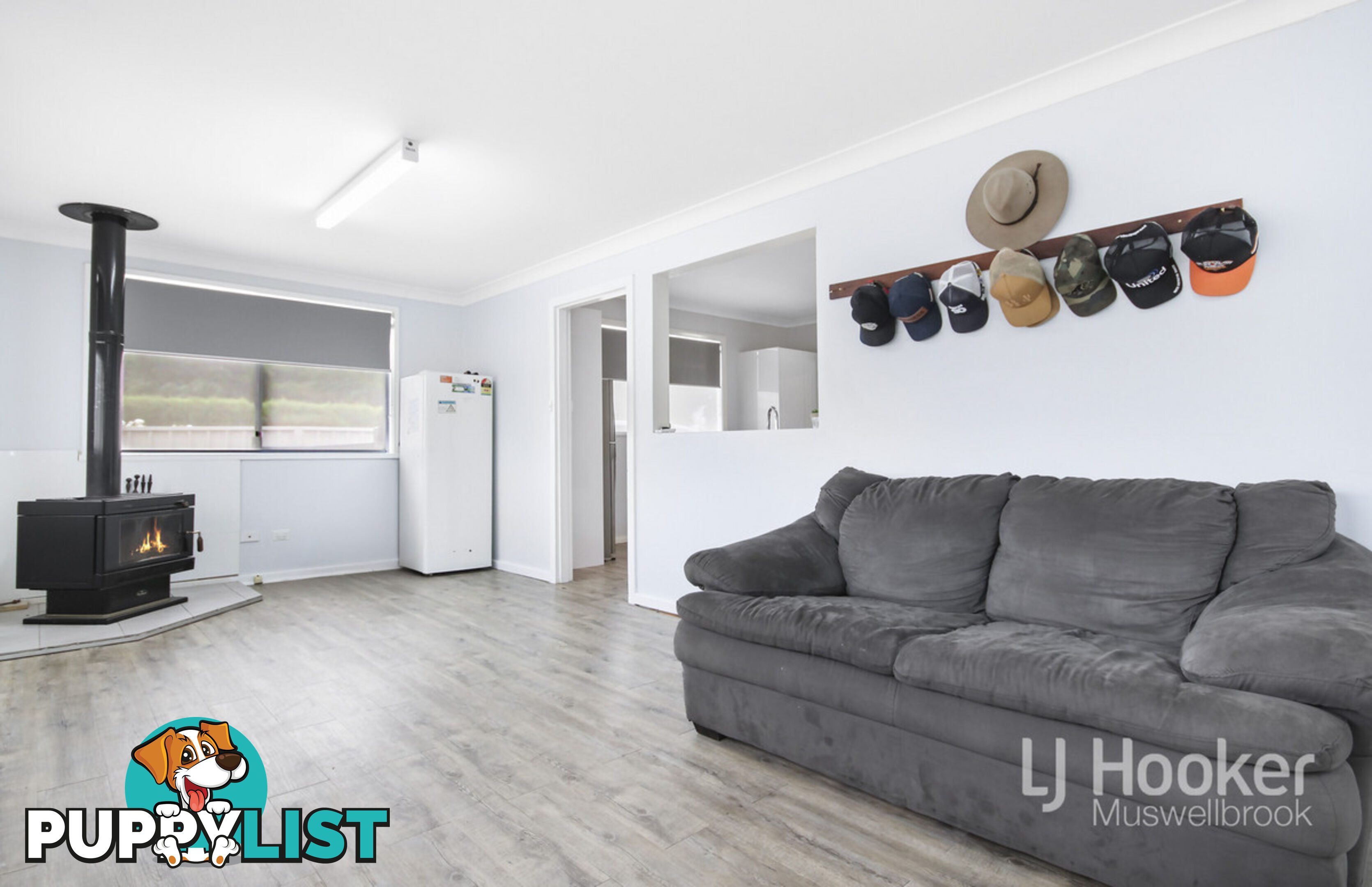 28 Palace Street DENMAN NSW 2328