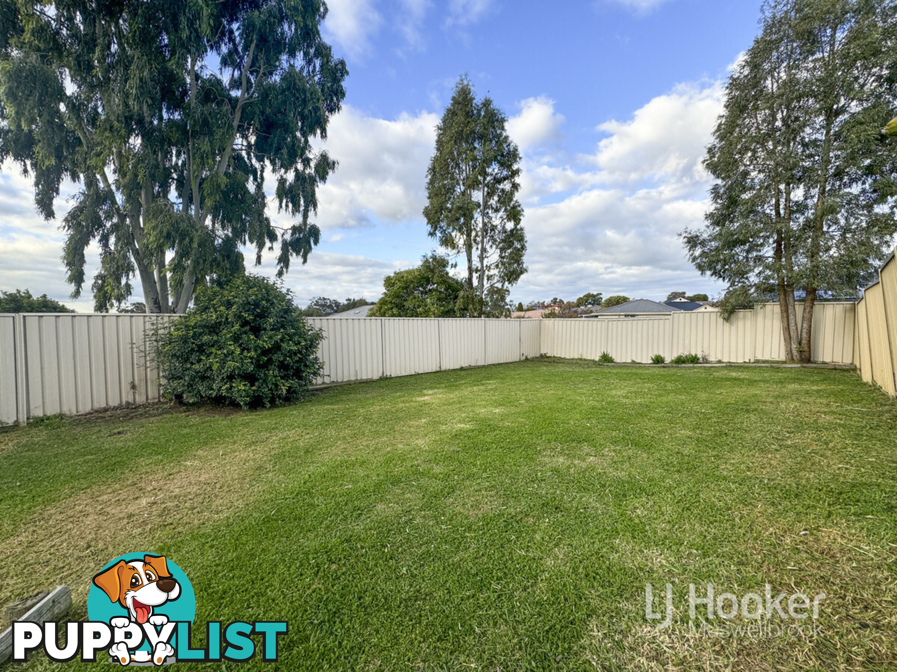2/102 Osborn Avenue MUSWELLBROOK NSW 2333