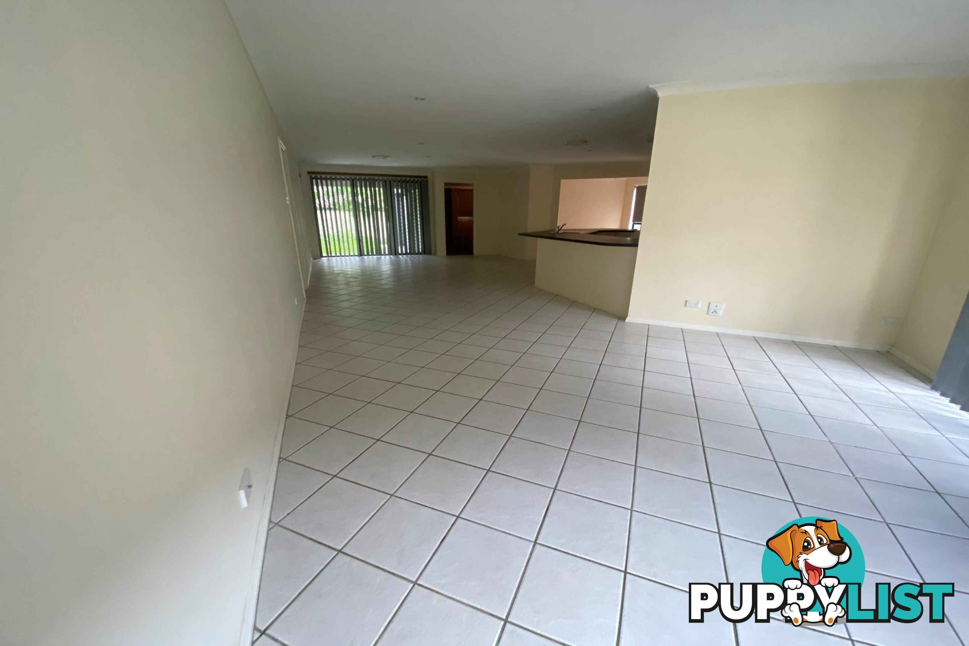 19 Bimbadeen Drive MUSWELLBROOK NSW 2333