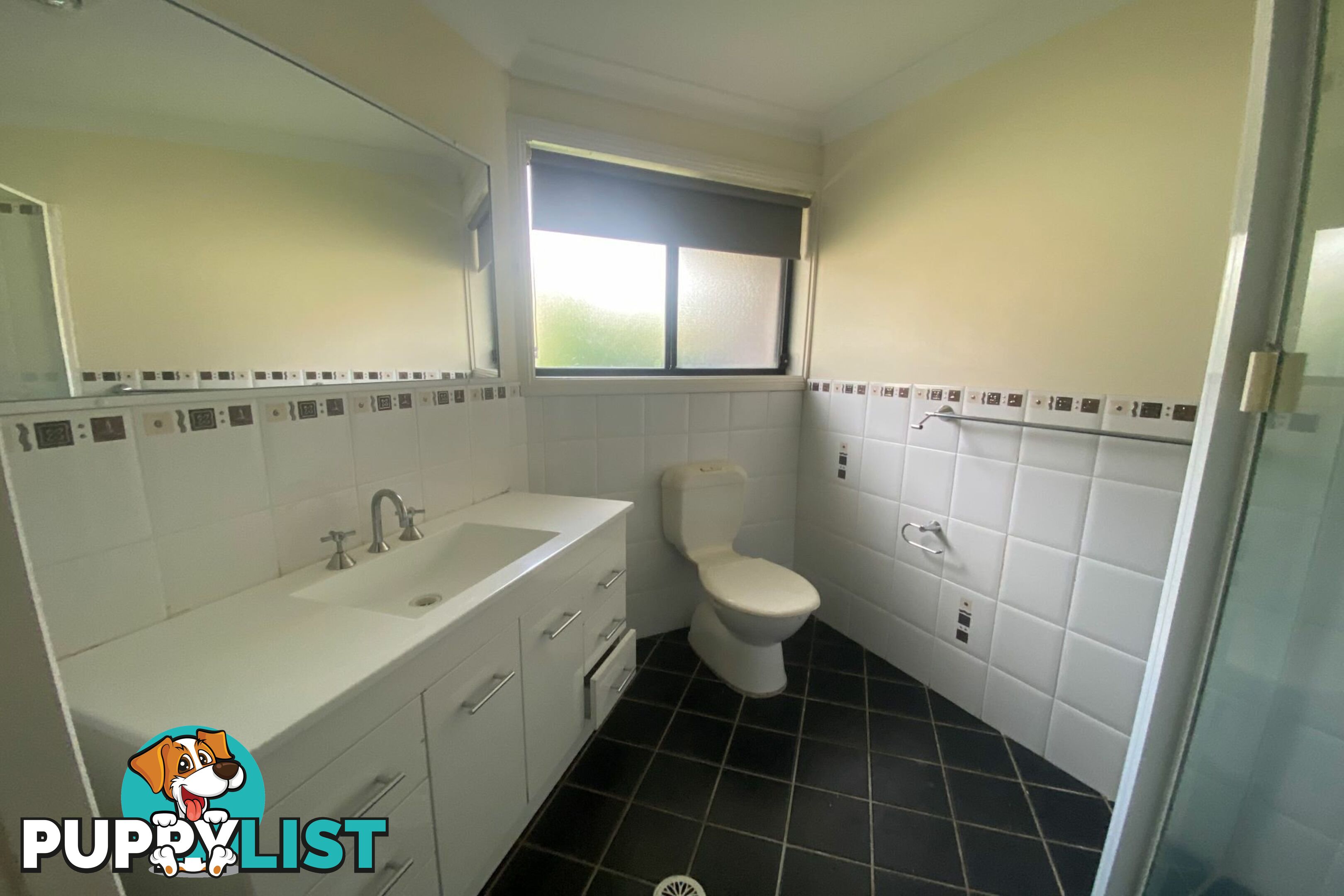 19 Bimbadeen Drive MUSWELLBROOK NSW 2333
