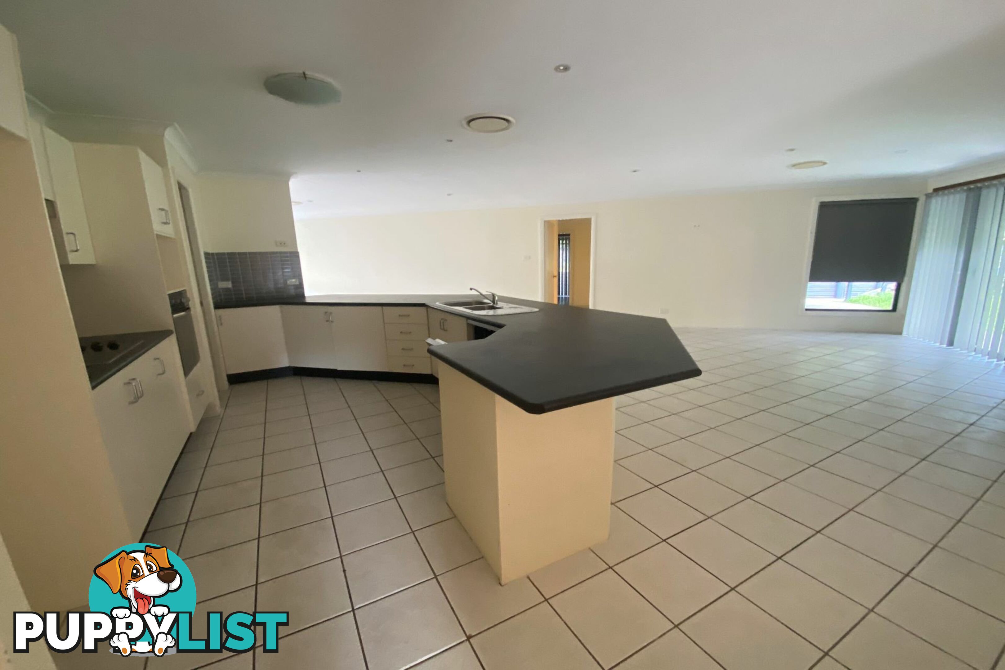 19 Bimbadeen Drive MUSWELLBROOK NSW 2333