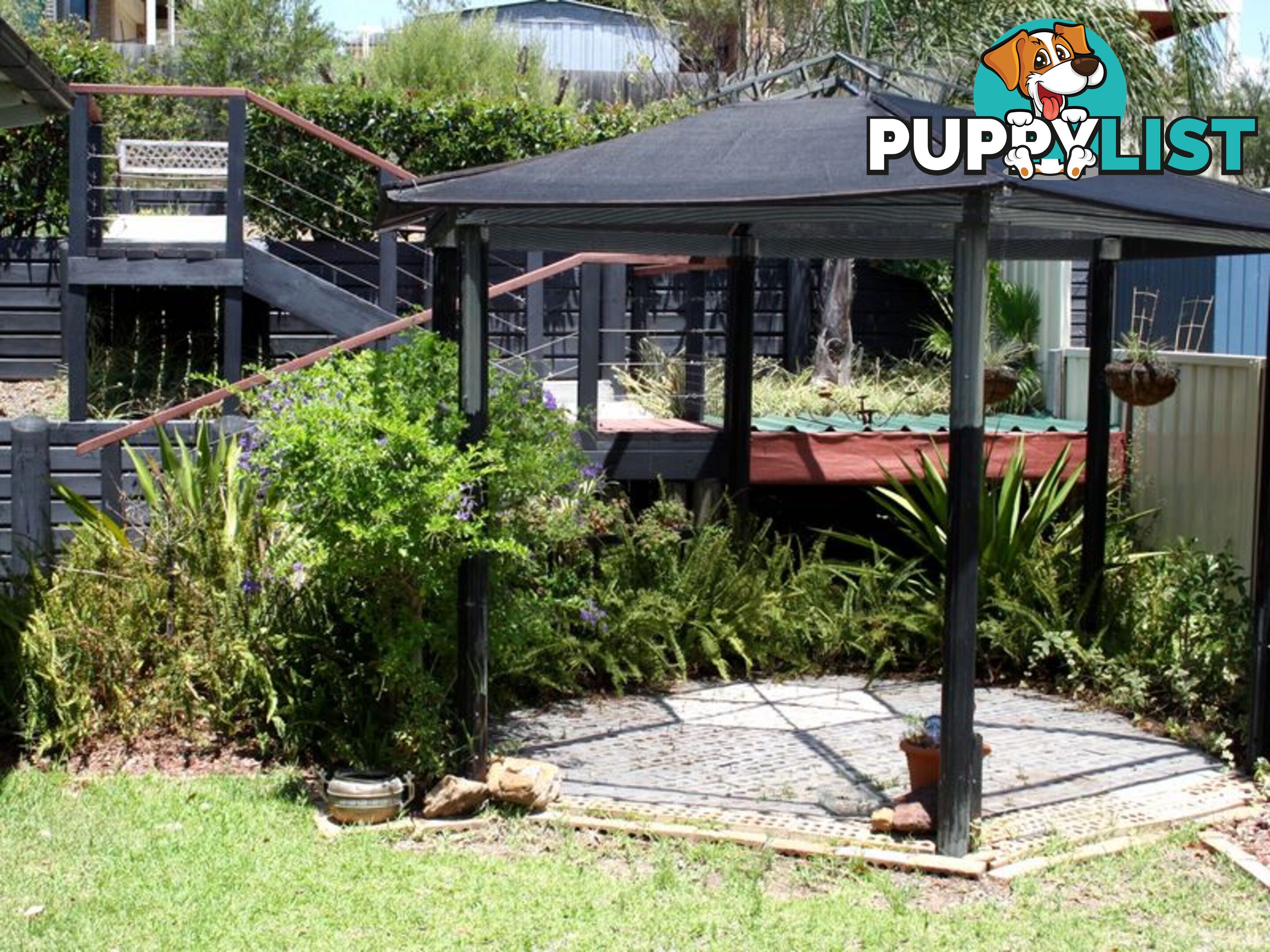 19 Bimbadeen Drive MUSWELLBROOK NSW 2333
