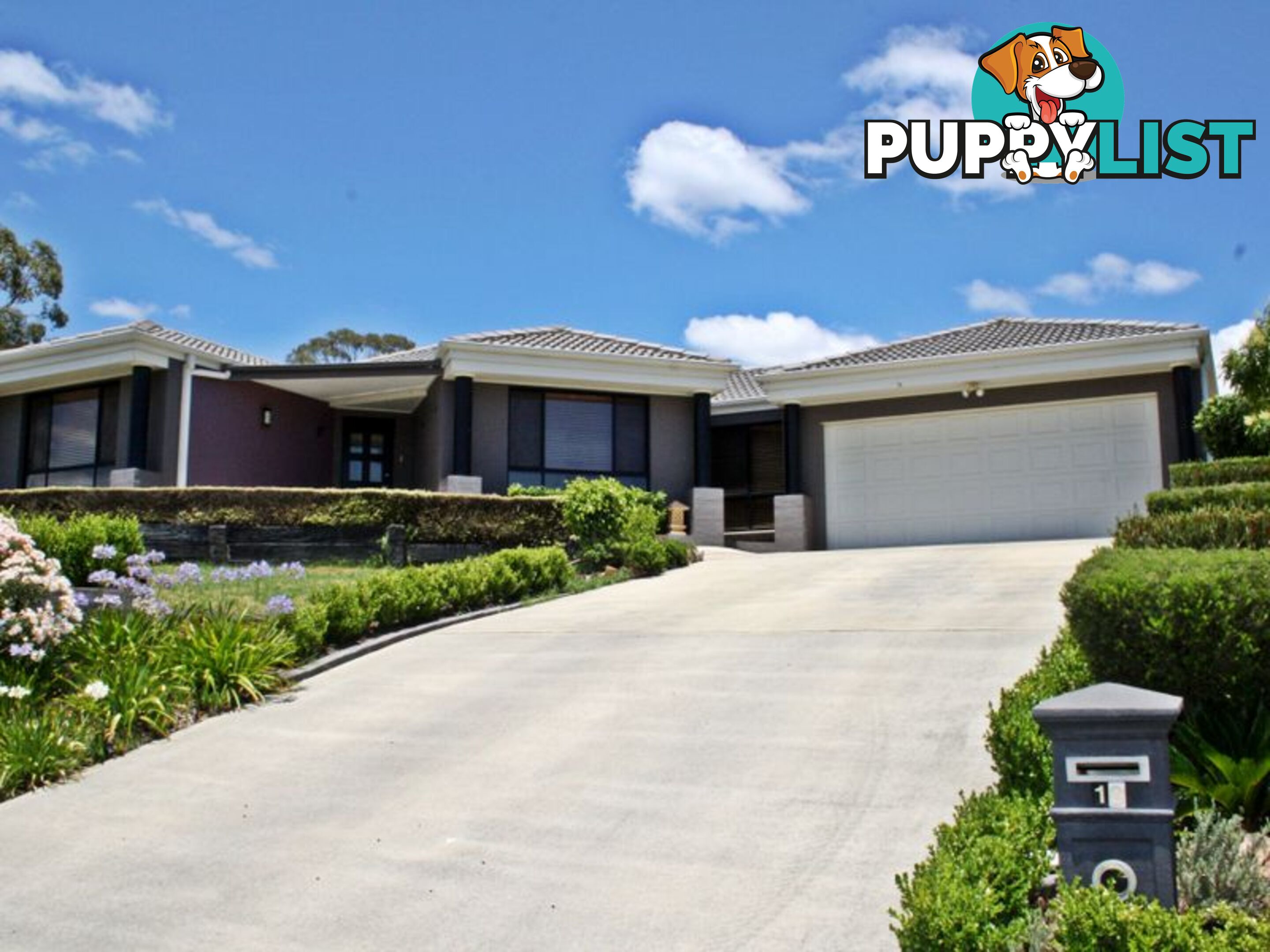 19 Bimbadeen Drive MUSWELLBROOK NSW 2333