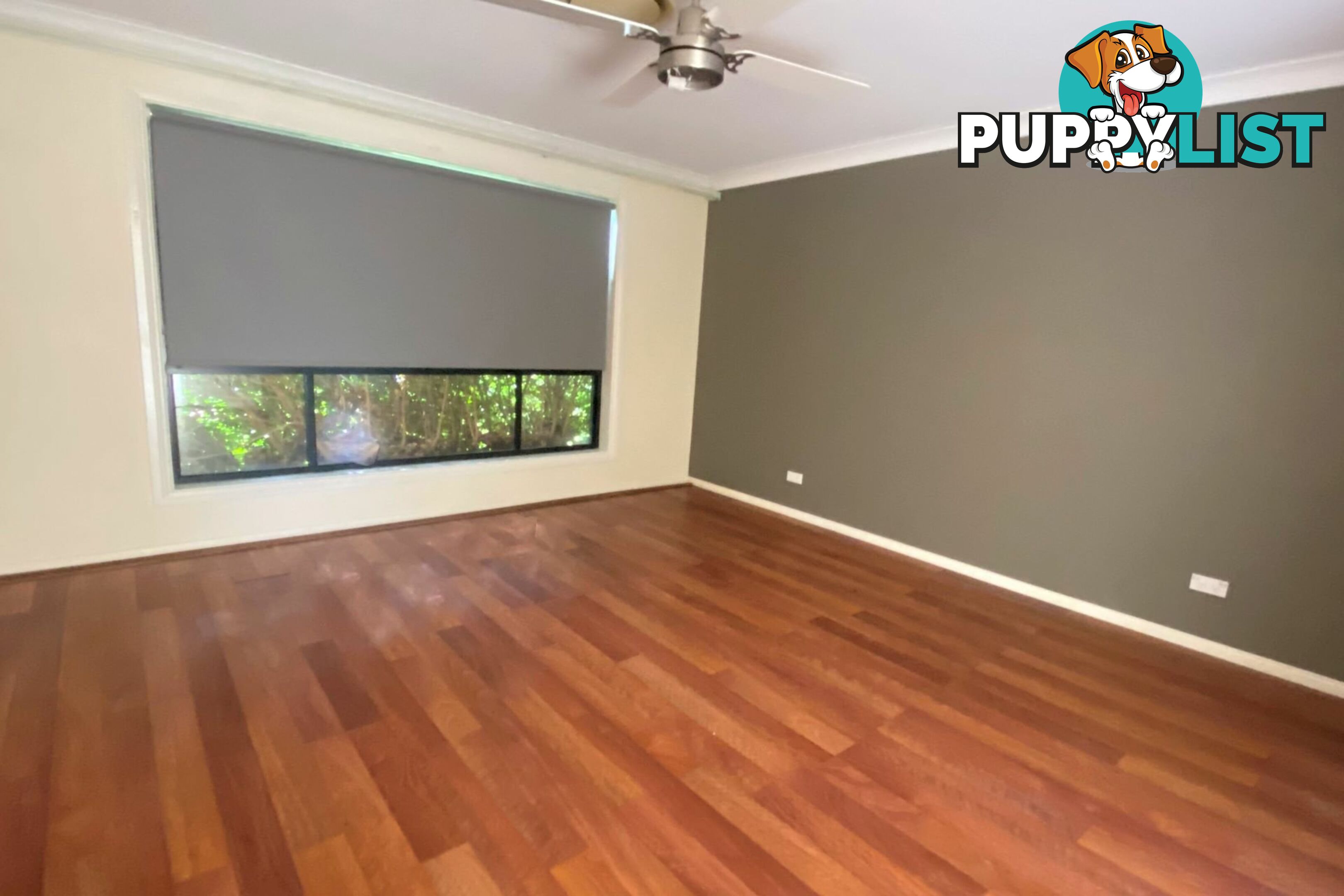 19 Bimbadeen Drive MUSWELLBROOK NSW 2333