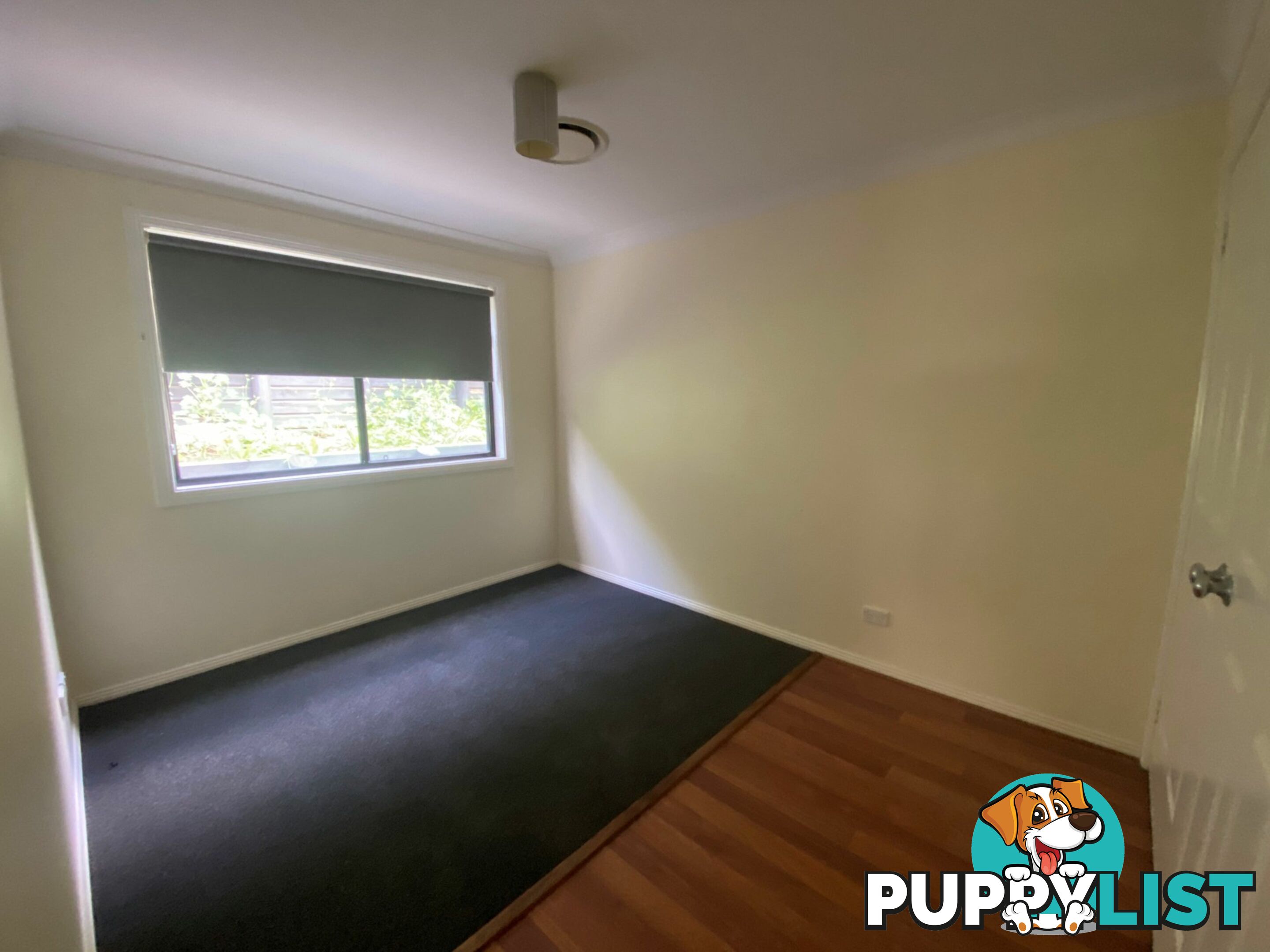 19 Bimbadeen Drive MUSWELLBROOK NSW 2333
