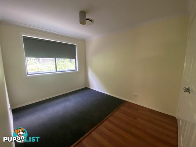 19 Bimbadeen Drive MUSWELLBROOK NSW 2333