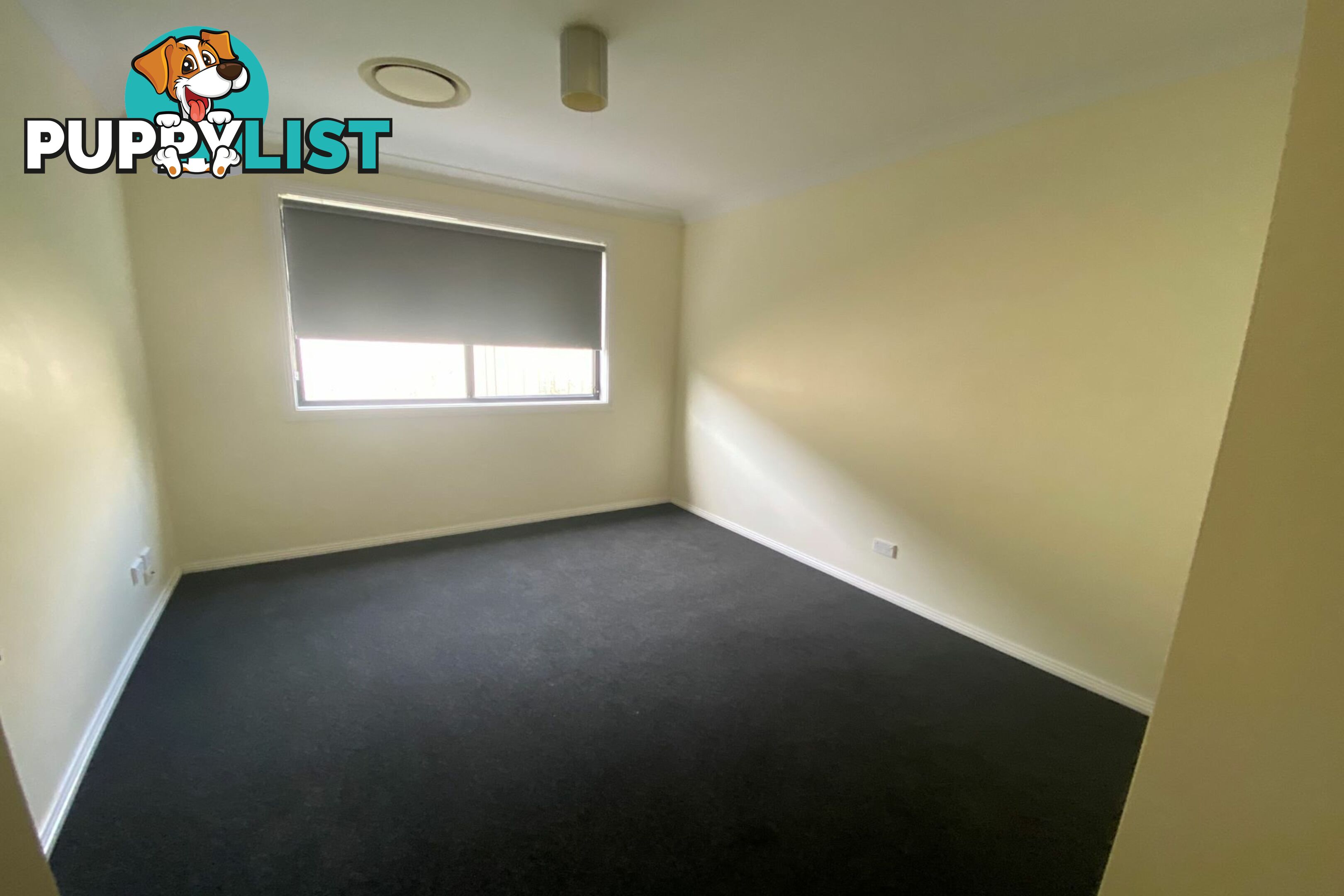 19 Bimbadeen Drive MUSWELLBROOK NSW 2333