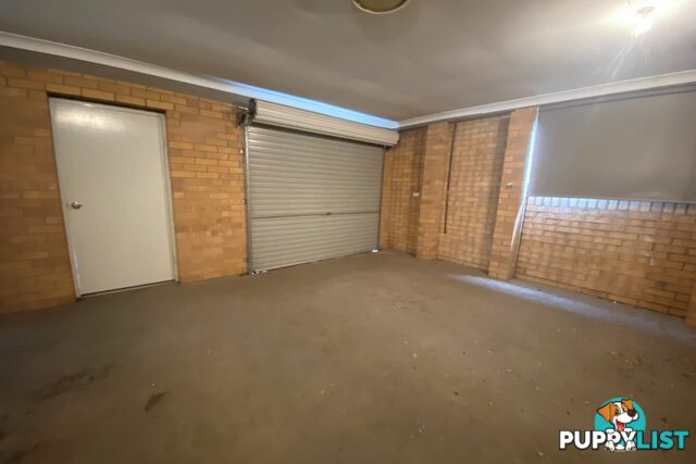 19 Bimbadeen Drive MUSWELLBROOK NSW 2333