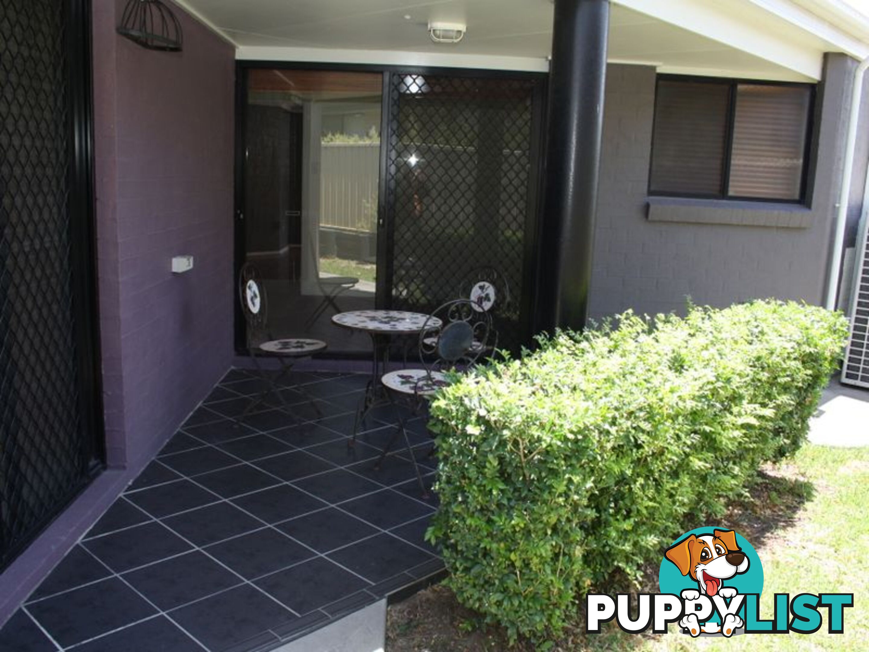 19 Bimbadeen Drive MUSWELLBROOK NSW 2333