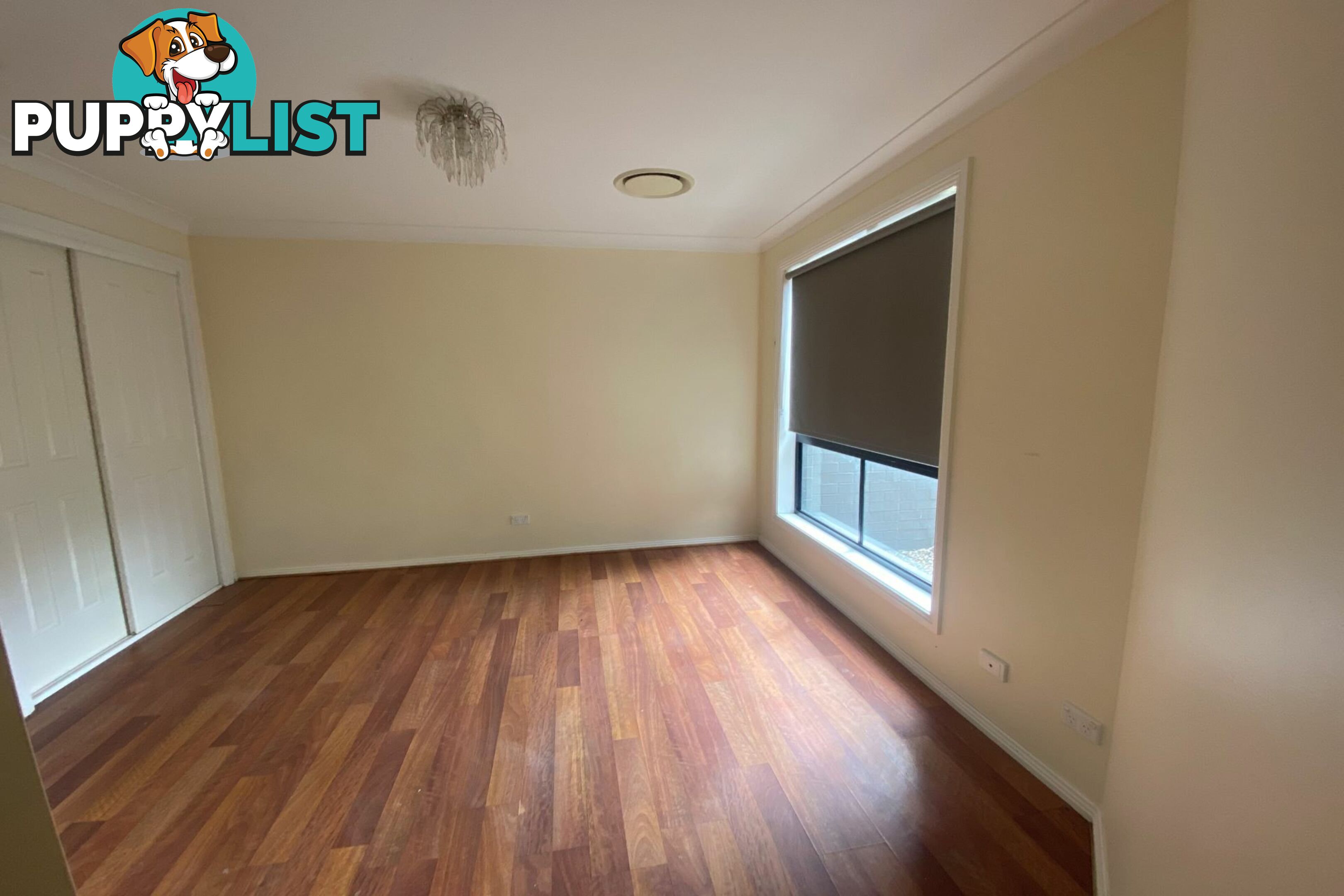 19 Bimbadeen Drive MUSWELLBROOK NSW 2333