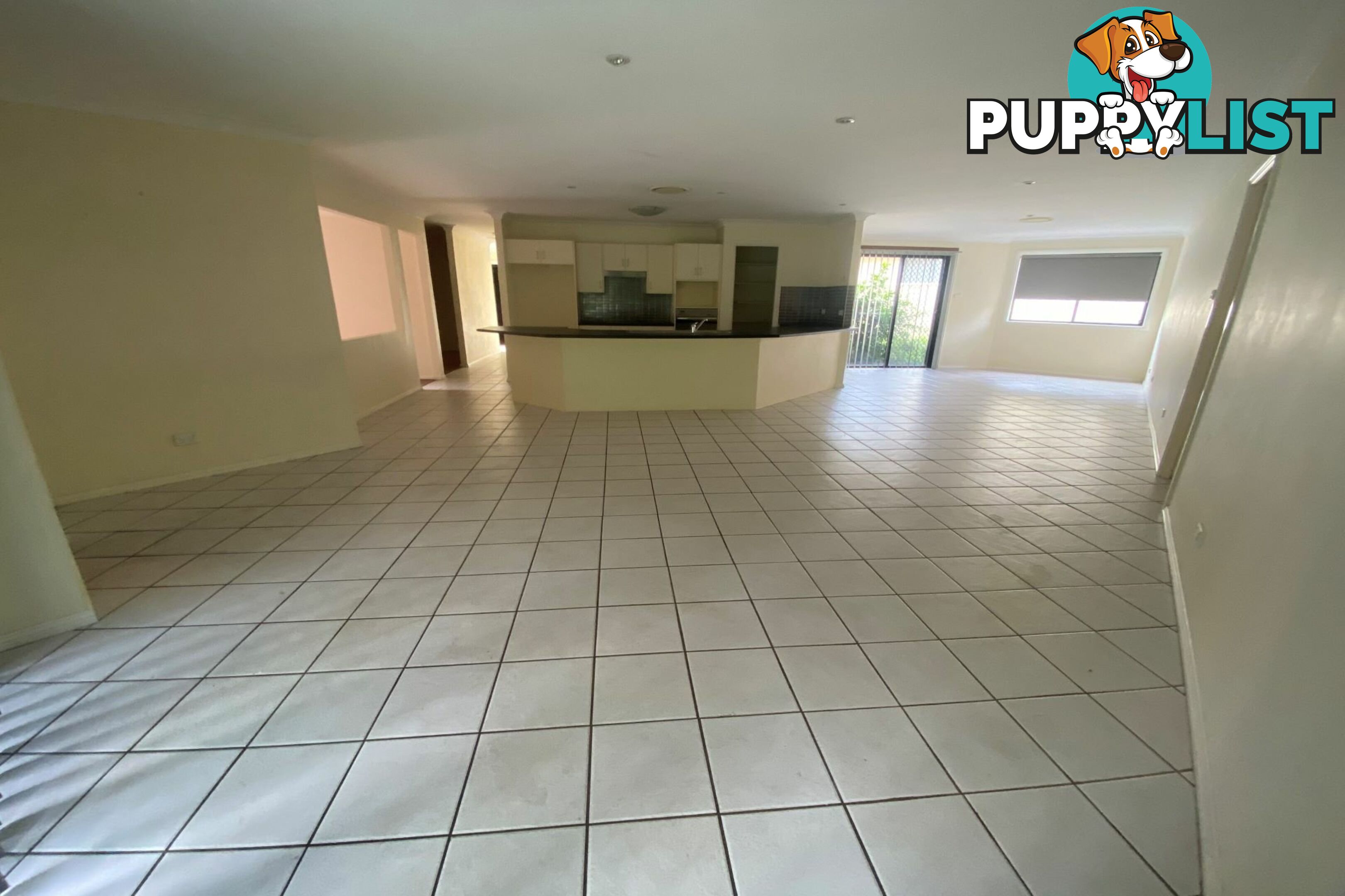 19 Bimbadeen Drive MUSWELLBROOK NSW 2333
