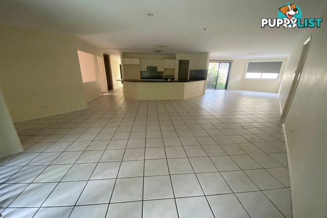 19 Bimbadeen Drive MUSWELLBROOK NSW 2333