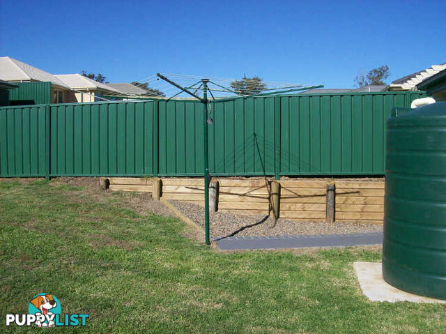 14 Mussel Street MUSWELLBROOK NSW 2333