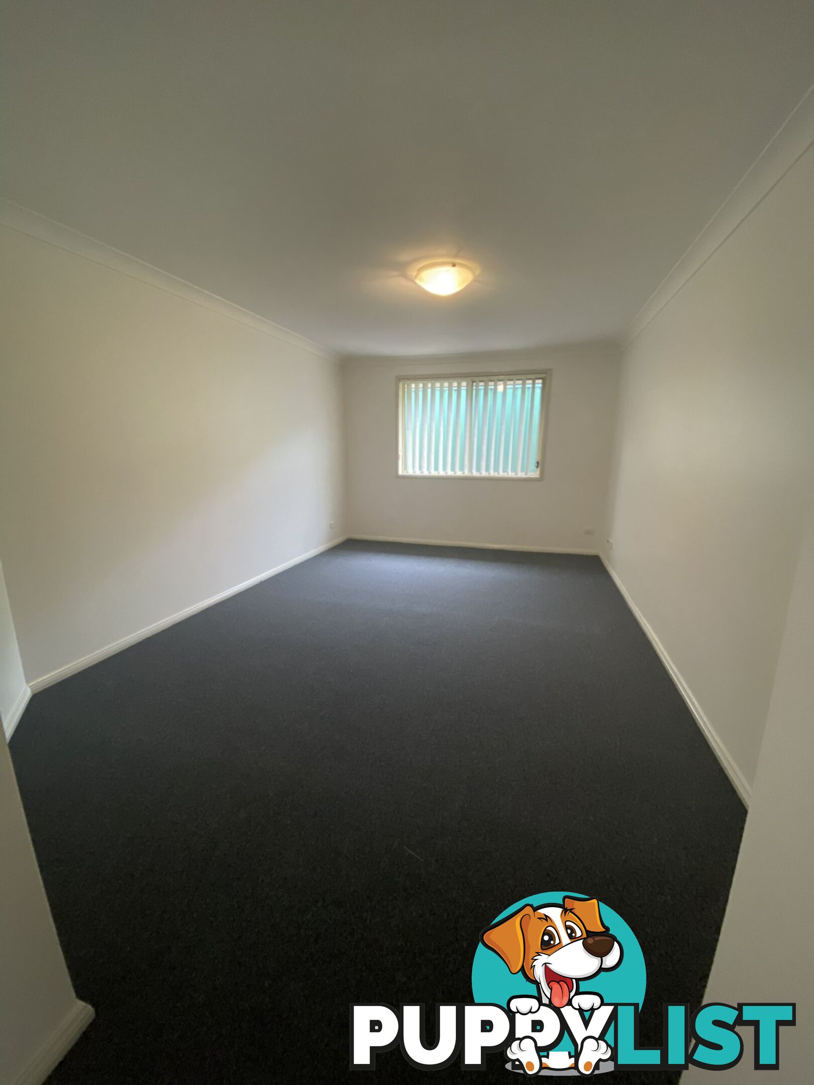 14 Mussel Street MUSWELLBROOK NSW 2333